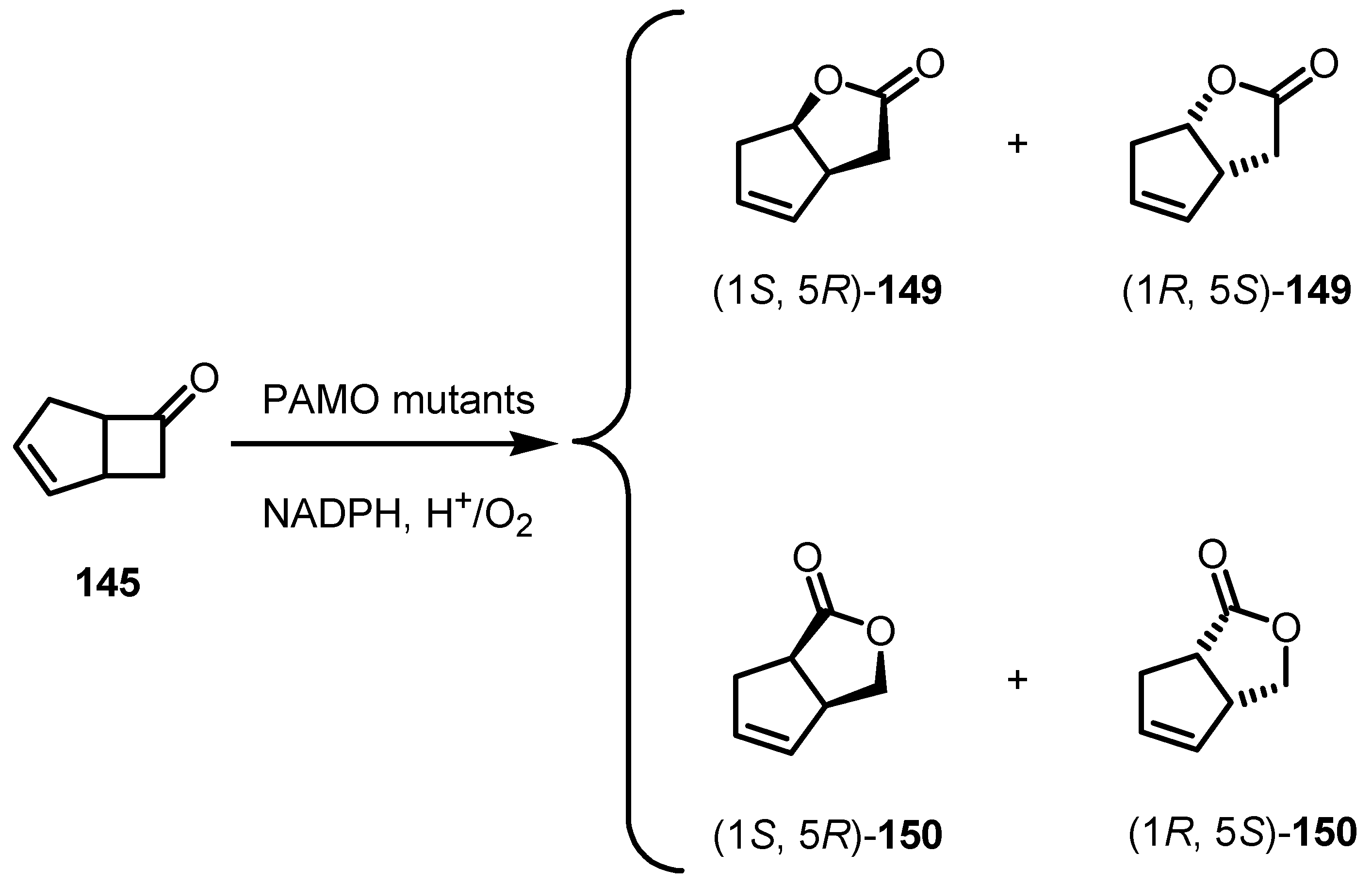 Molecules 18 15541 g043