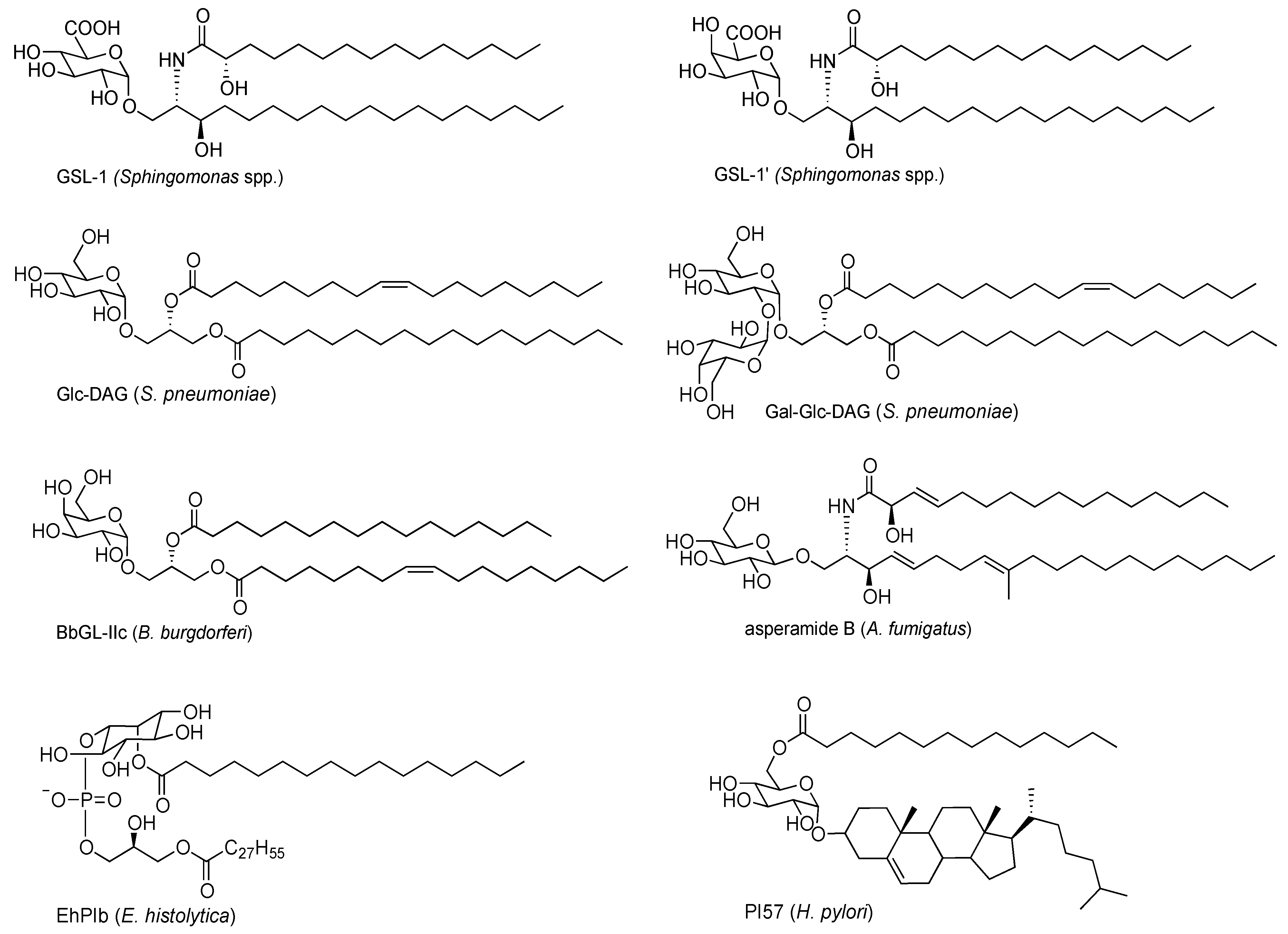 Molecules 18 15662 g002