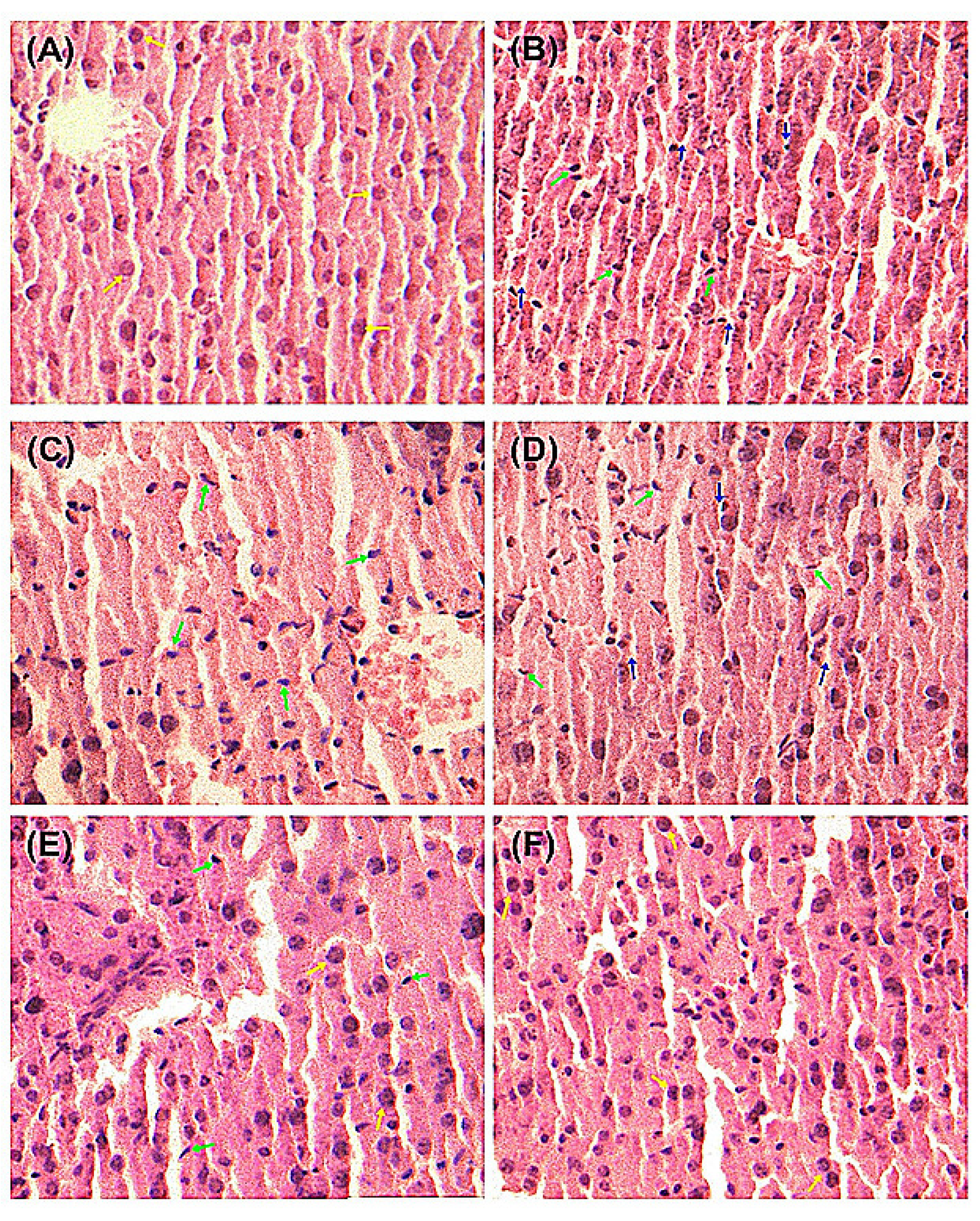 Molecules 19 00291 g003 550