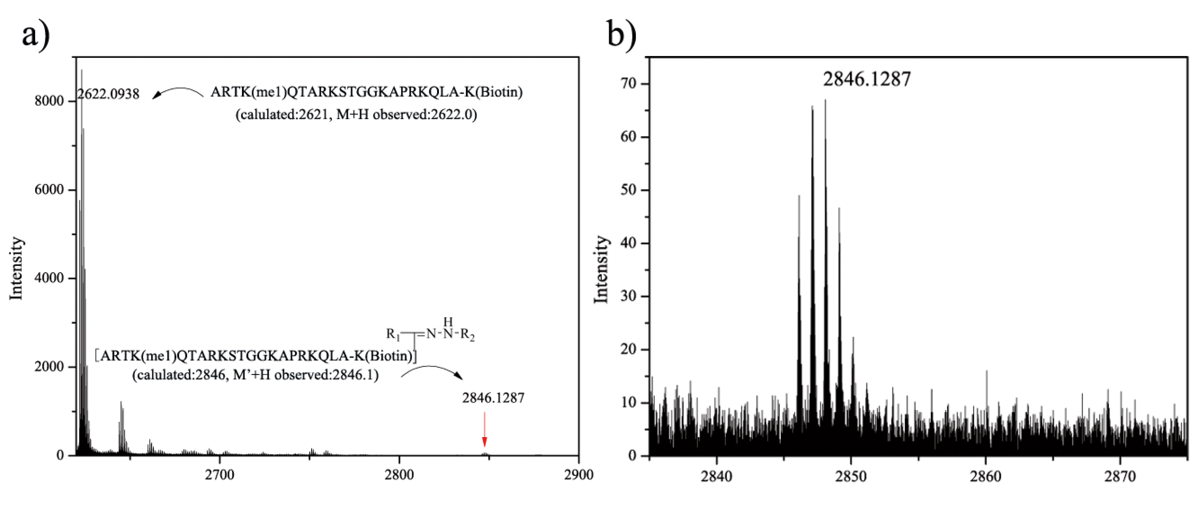 Molecules 19 00306 g001