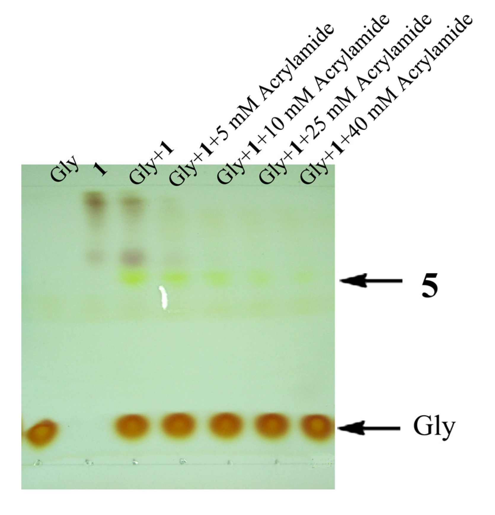 Molecules 19 00306 g002