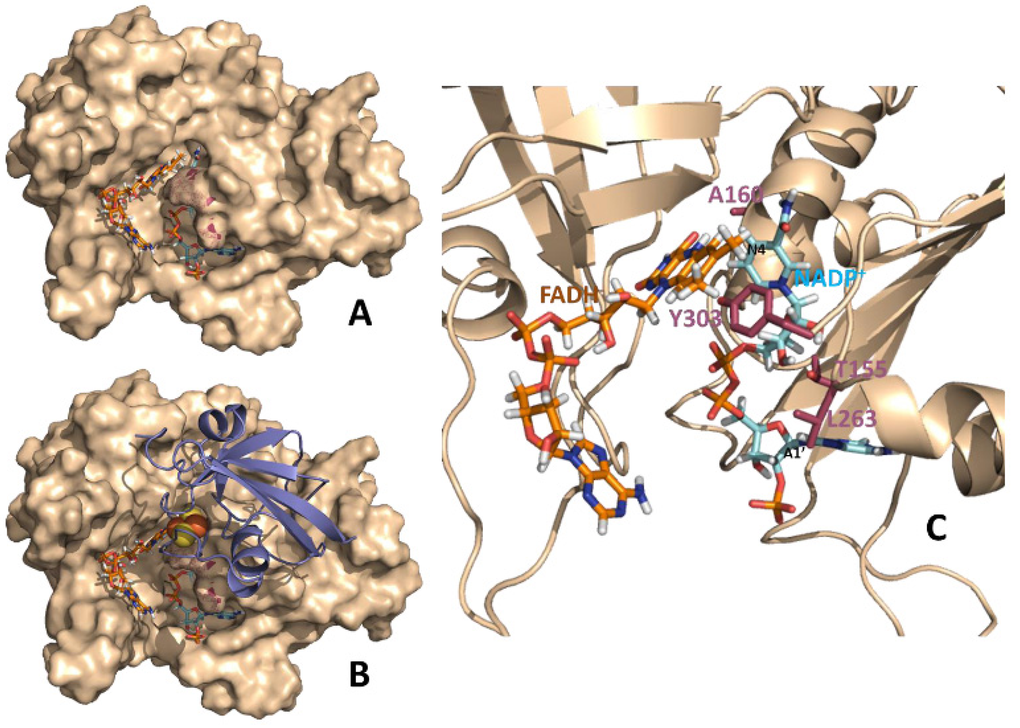 Molecules 19 00672 g001 550