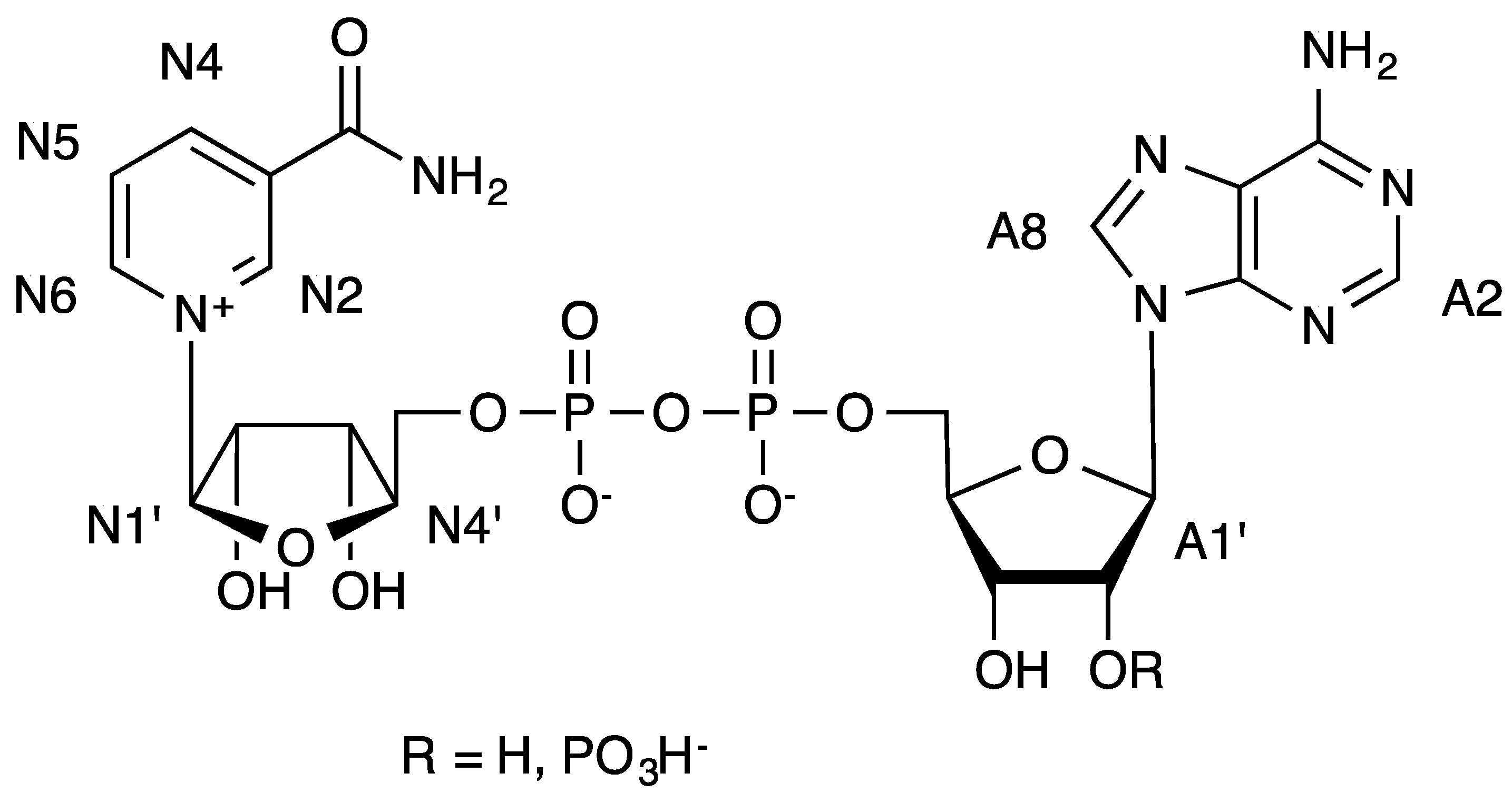 Molecules 19 00672 g002 550