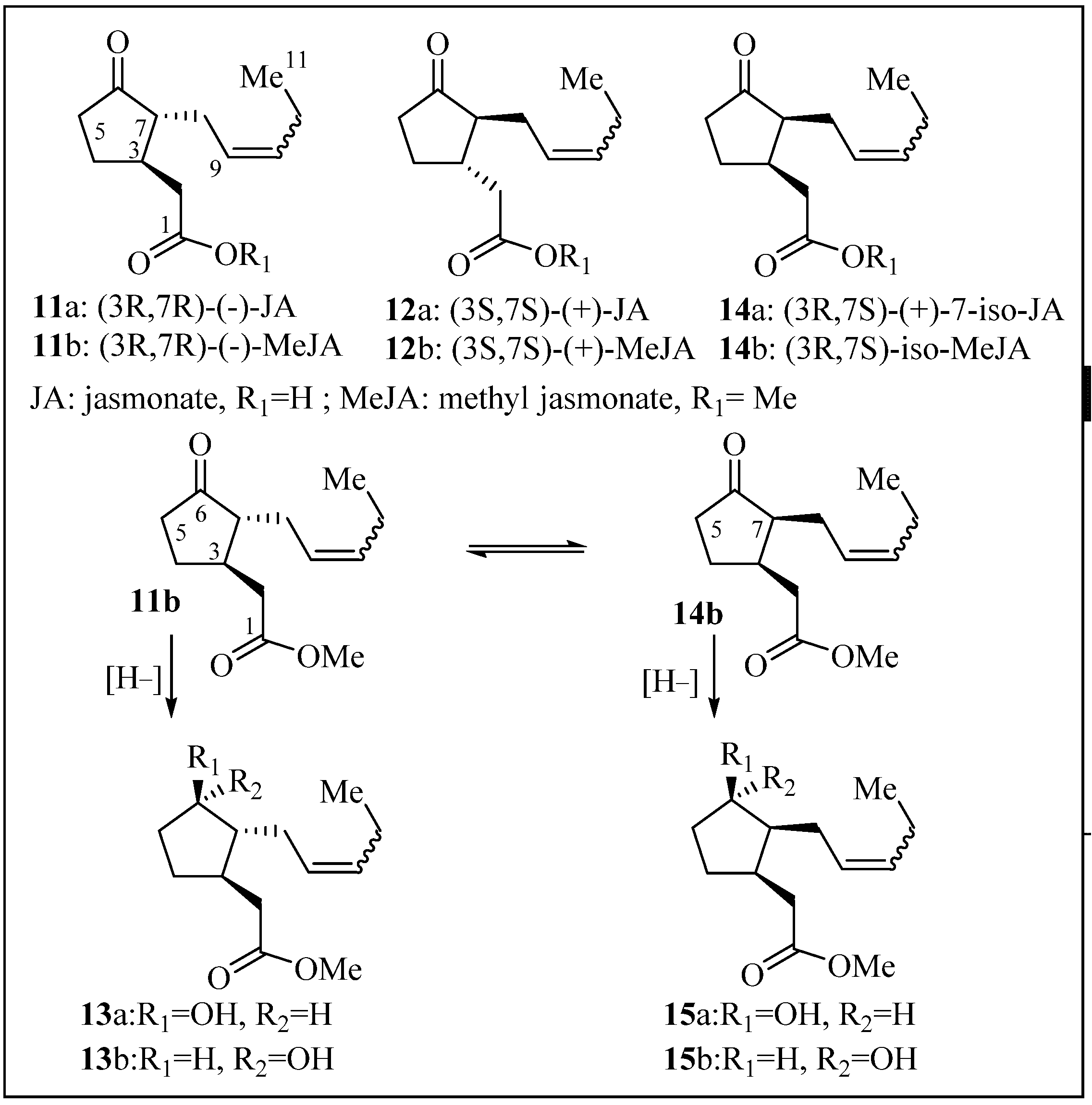Molecules 19 00756 g001