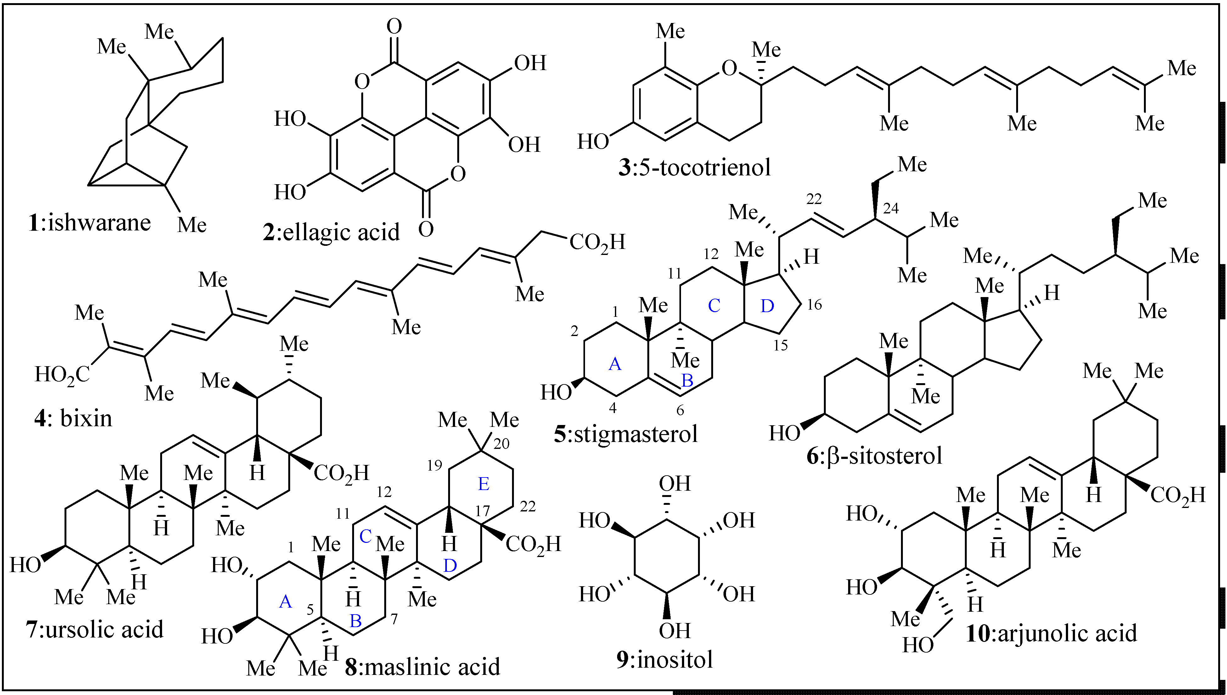 Molecules 19 00756 g002