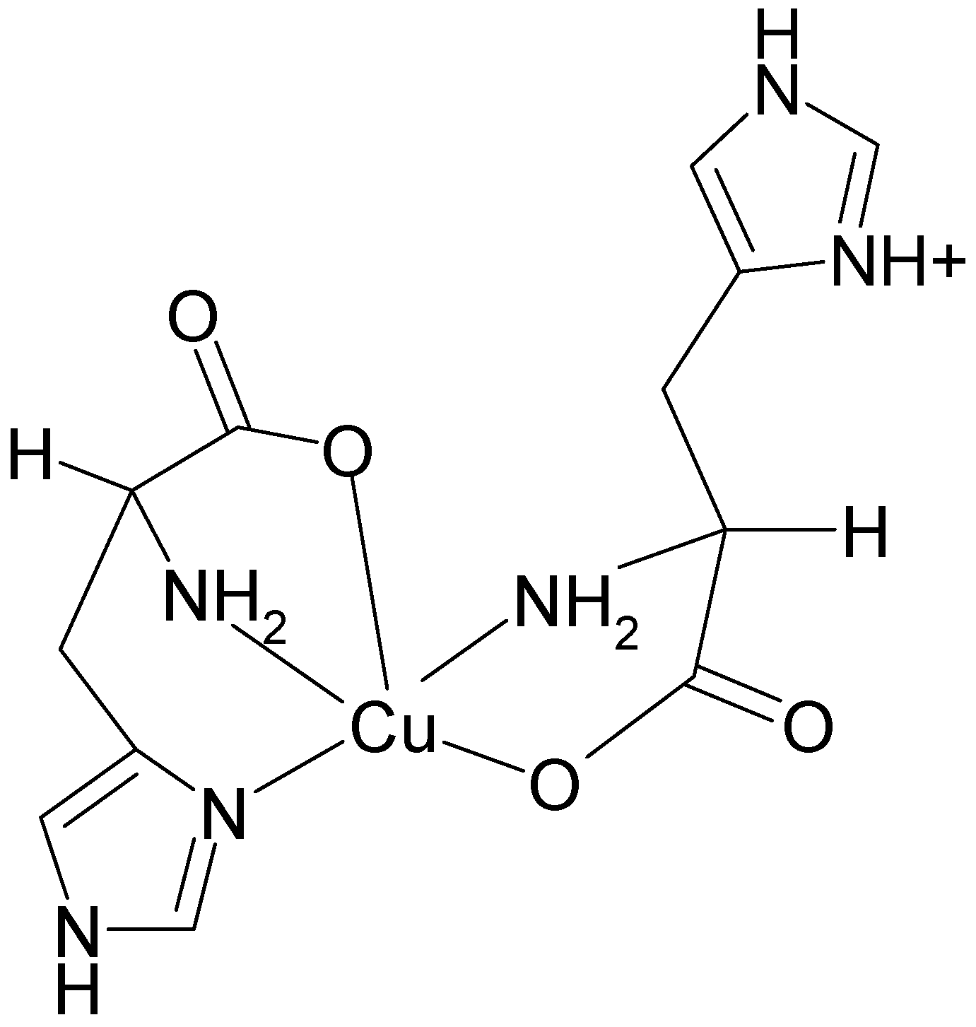 Molecules 19 00980 g005