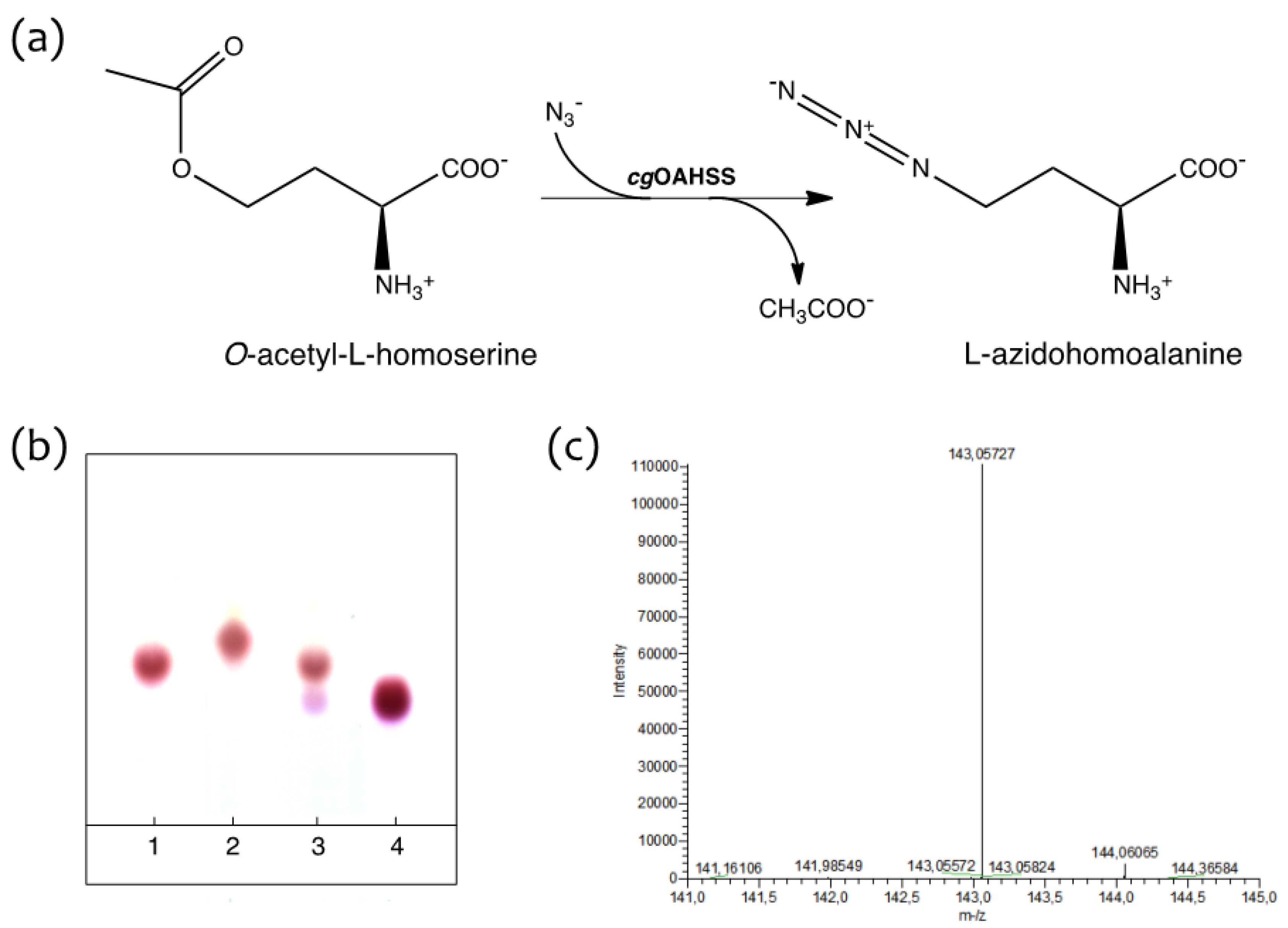 Molecules 19 01004 g002