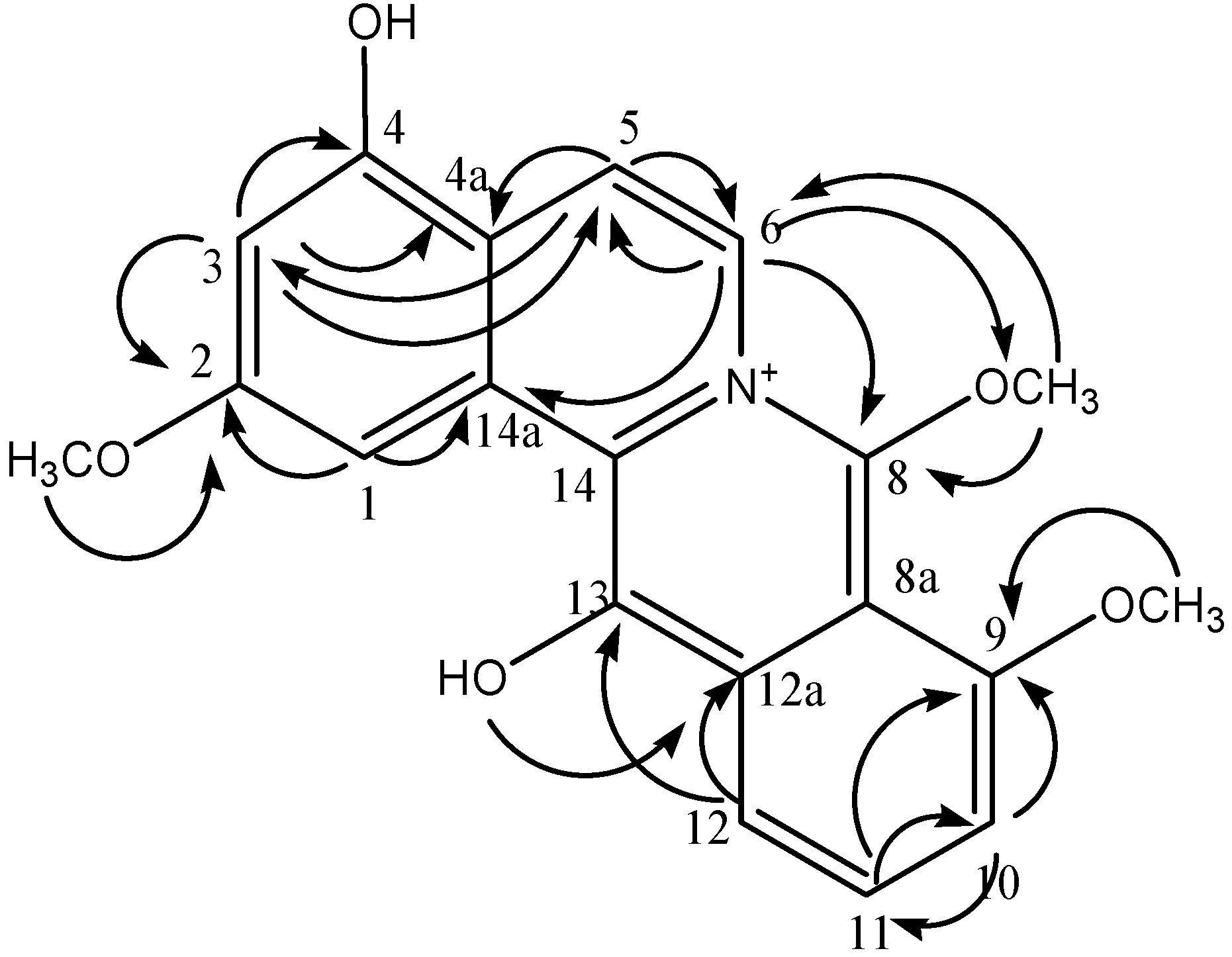 Molecules 19 01201 g002