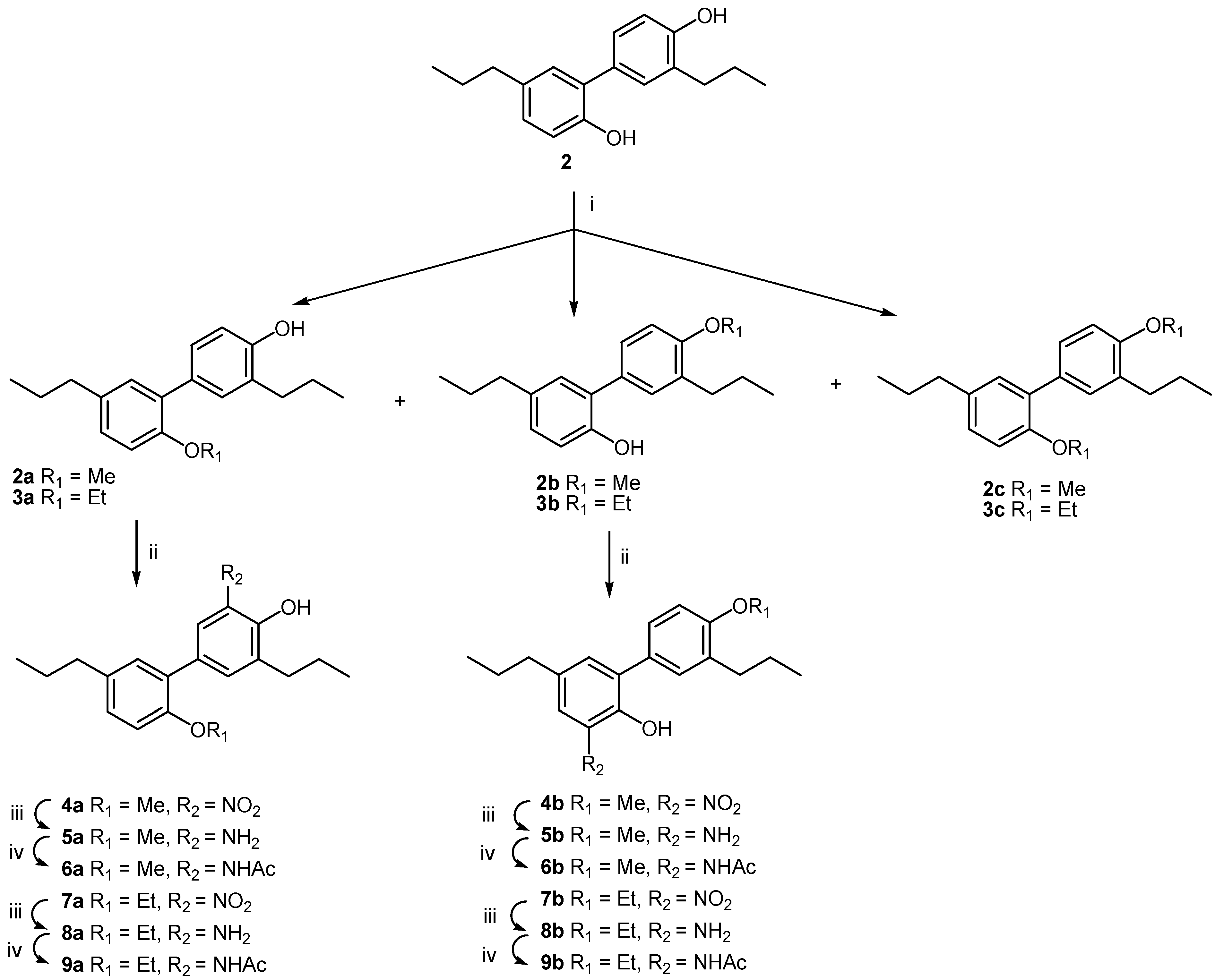 Molecules 19 01223 g002