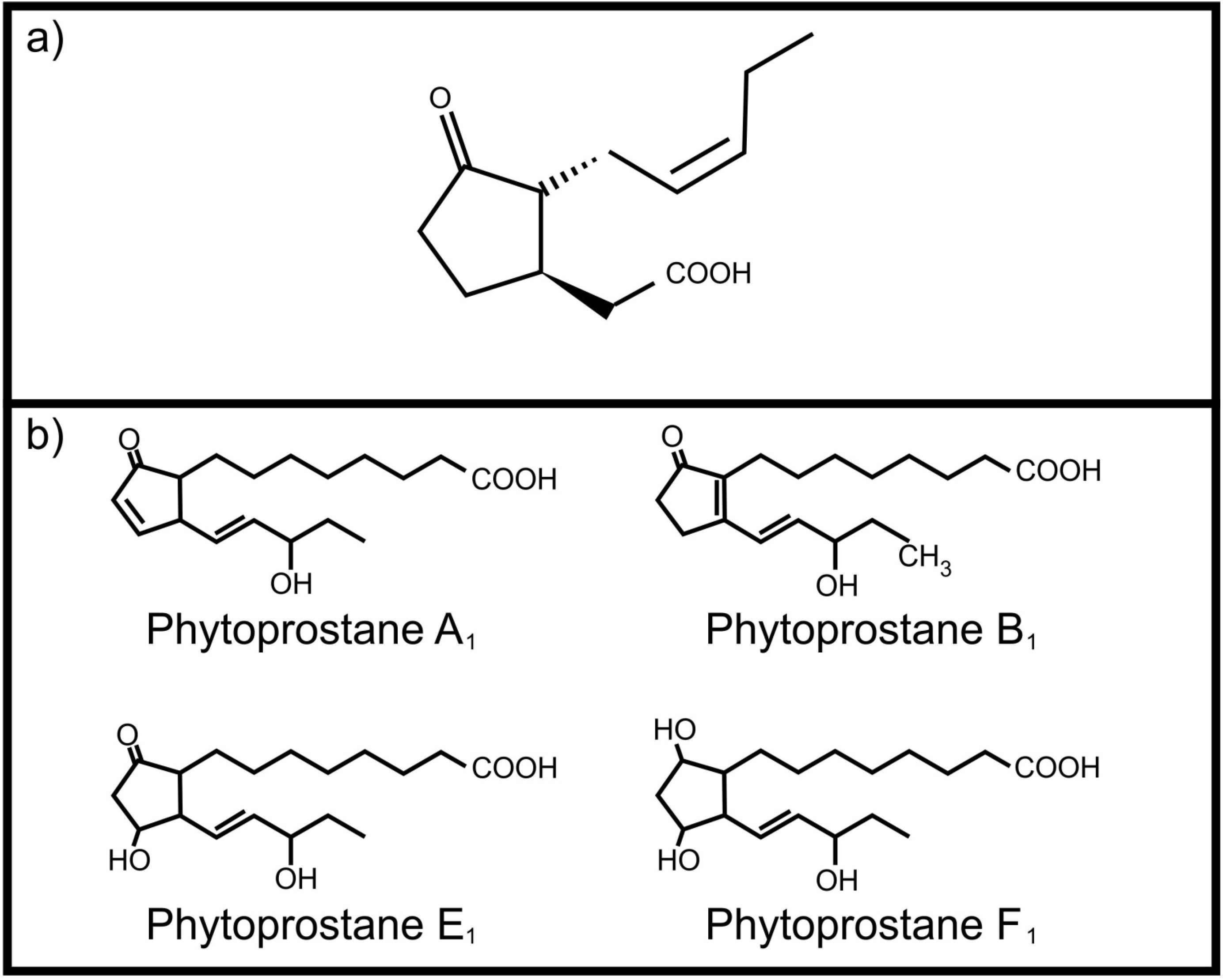 Molecules 19 01273 g001