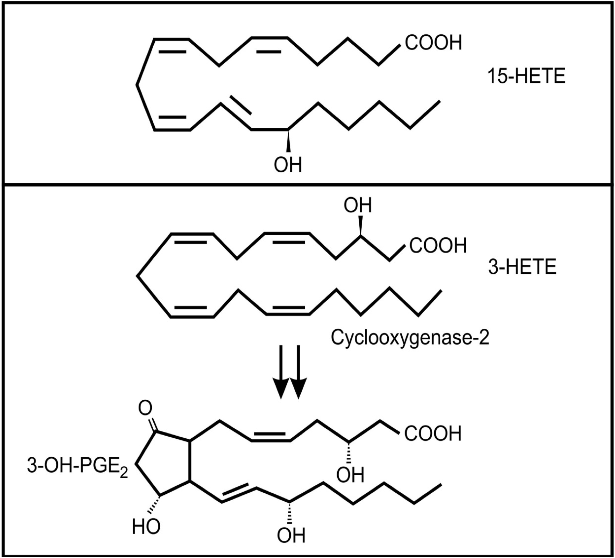 Molecules 19 01273 g004