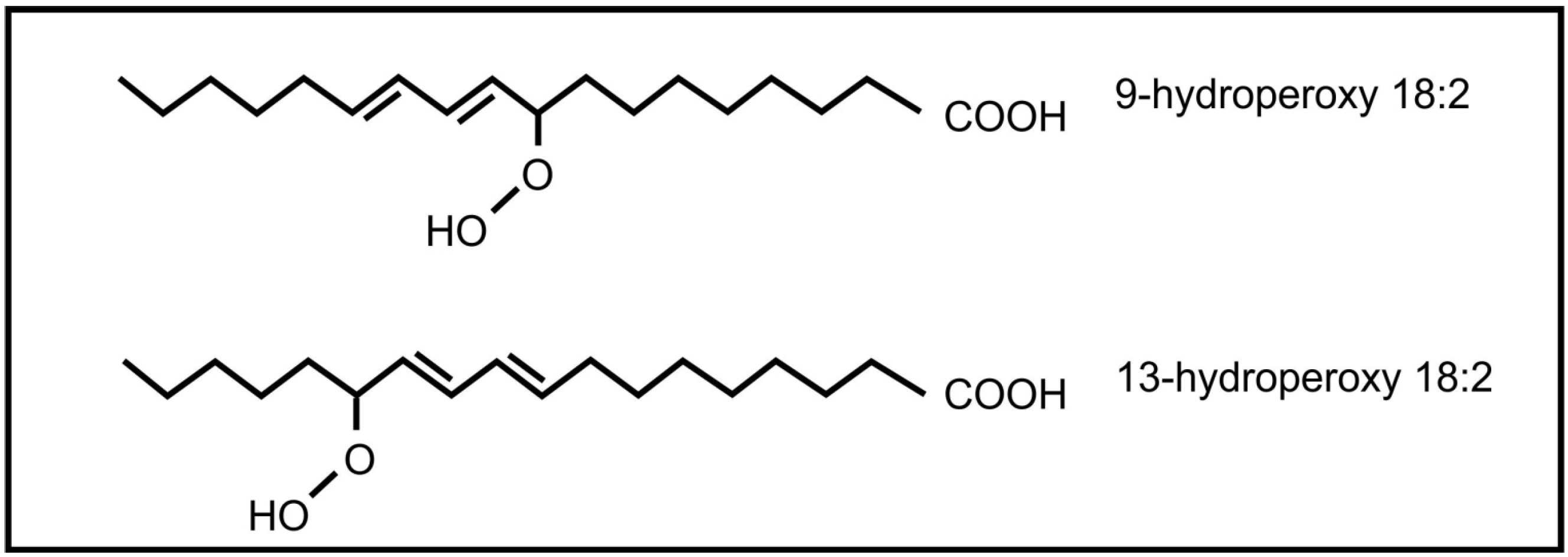 Molecules 19 01273 g005