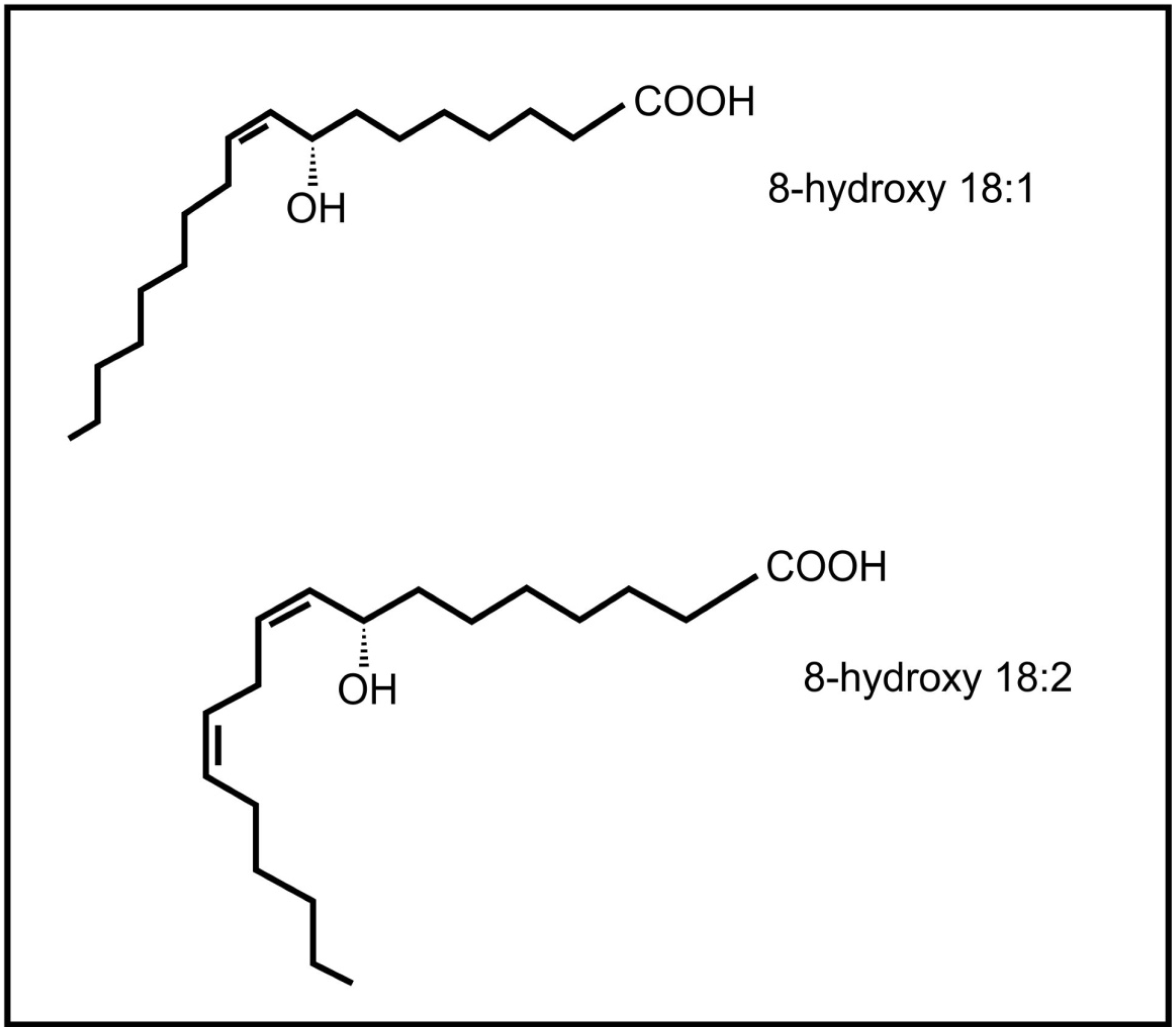 Molecules 19 01273 g006
