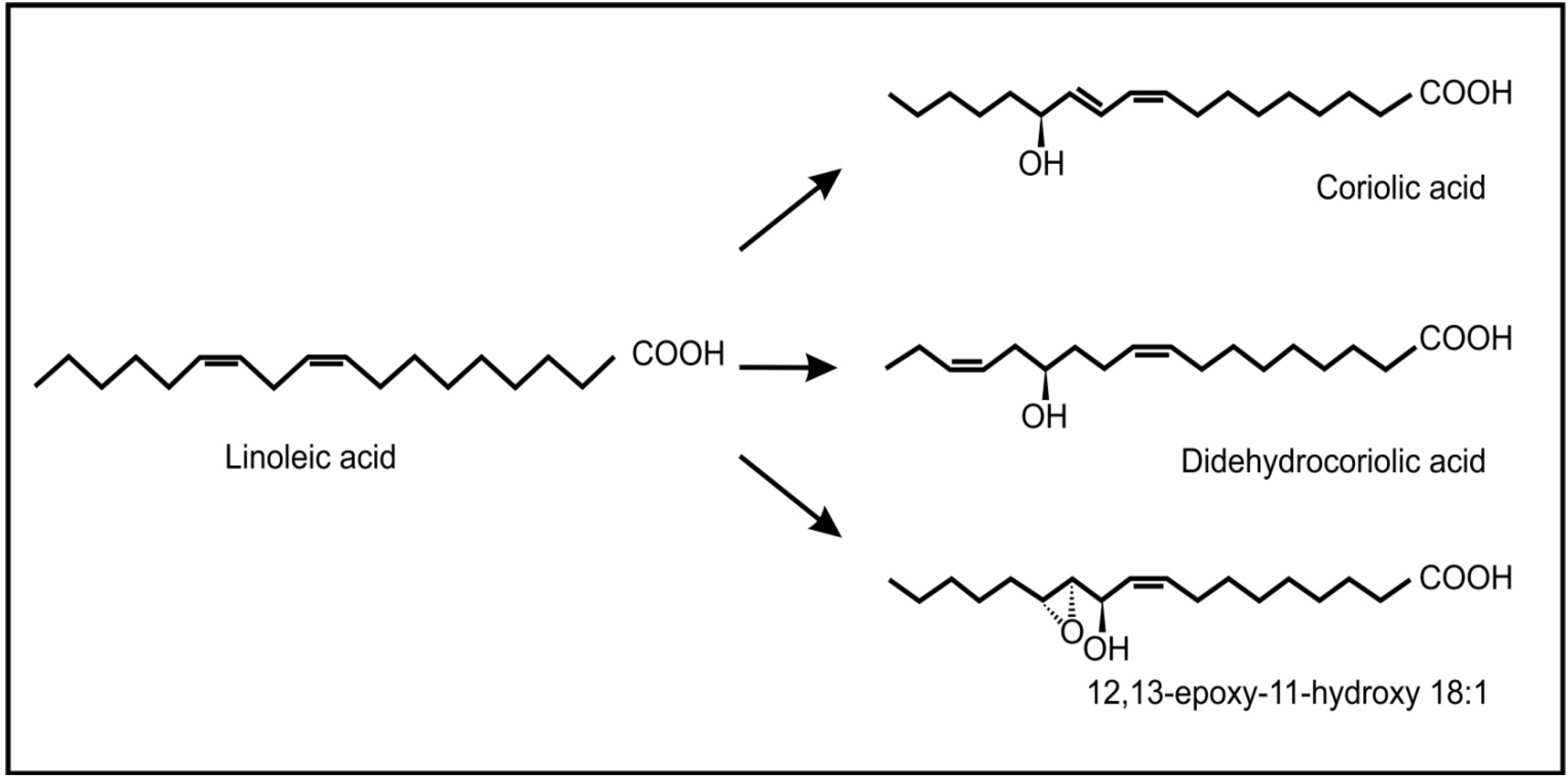 Molecules 19 01273 g007