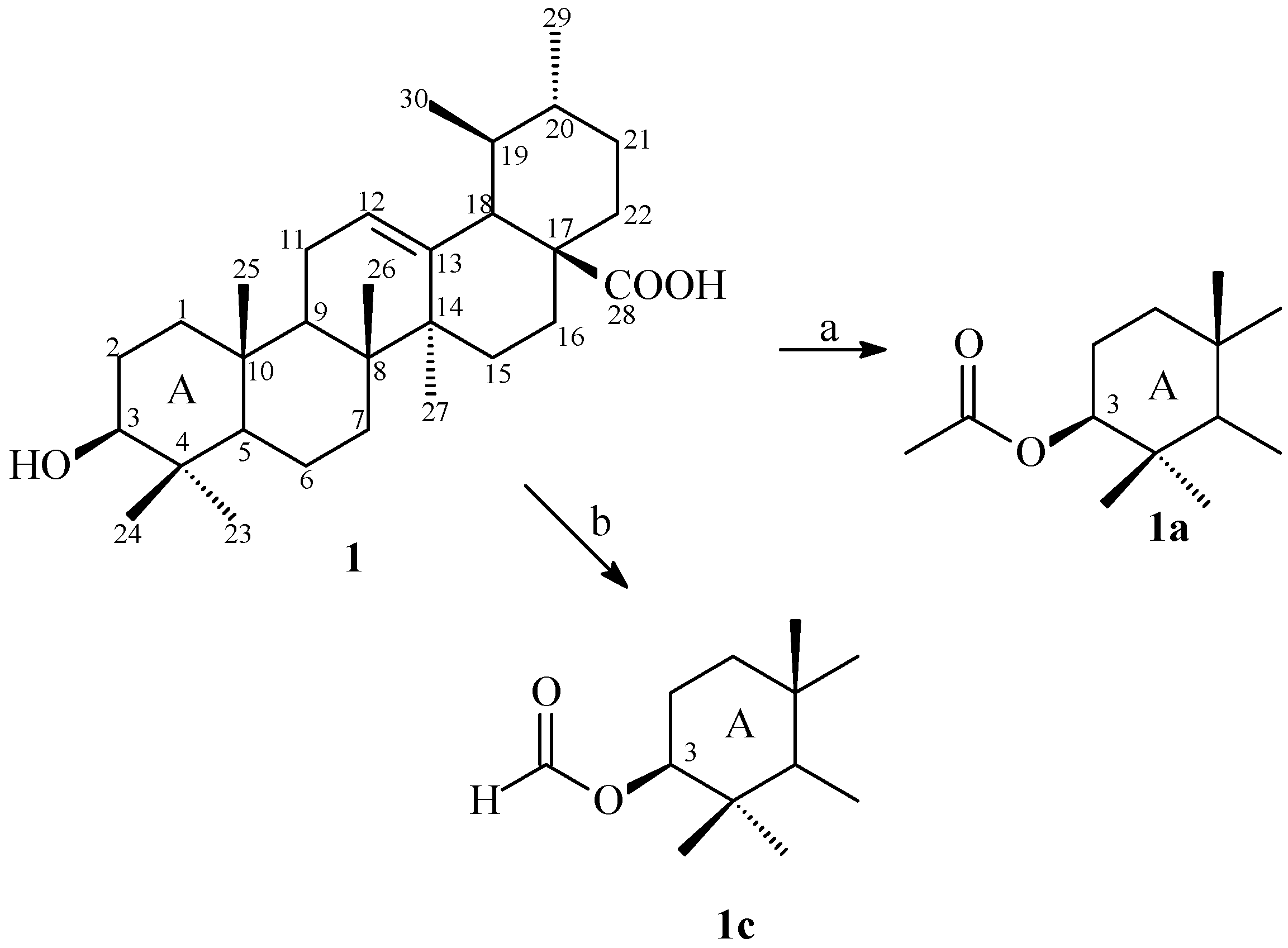 Molecules 19 01317 g001