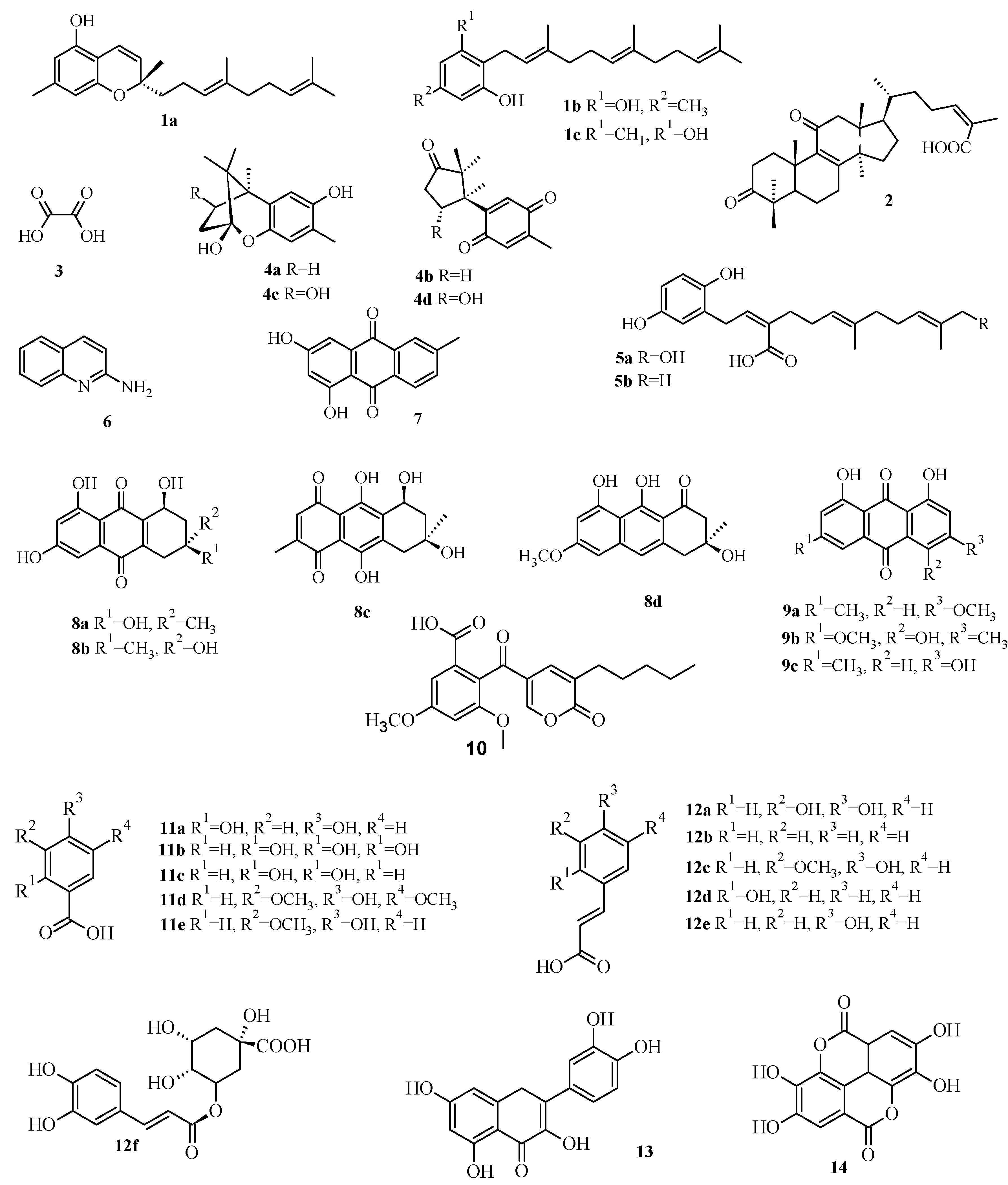Molecules 19 01672 g001