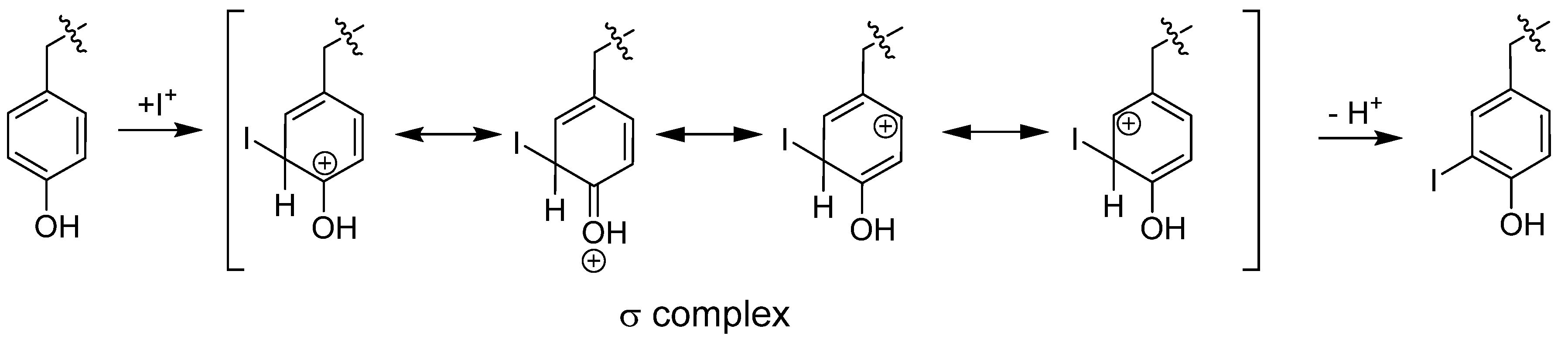 Molecules 19 02135 g003