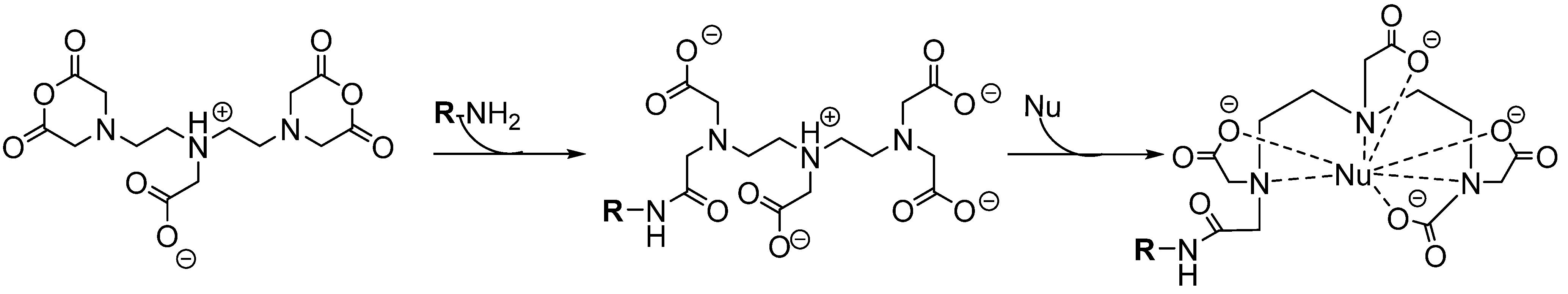 Molecules 19 02135 g007