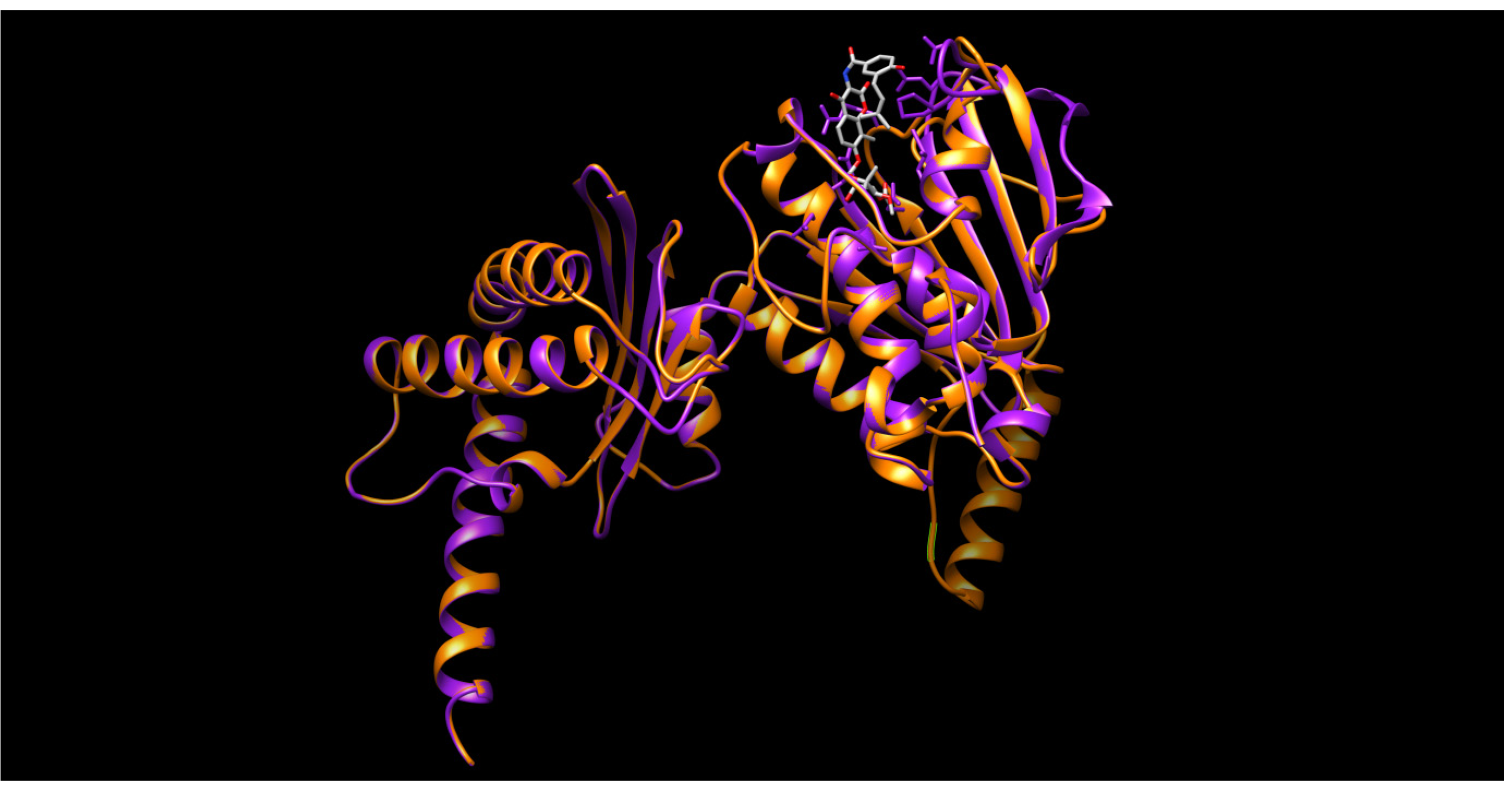 Molecules 19 02247 g007