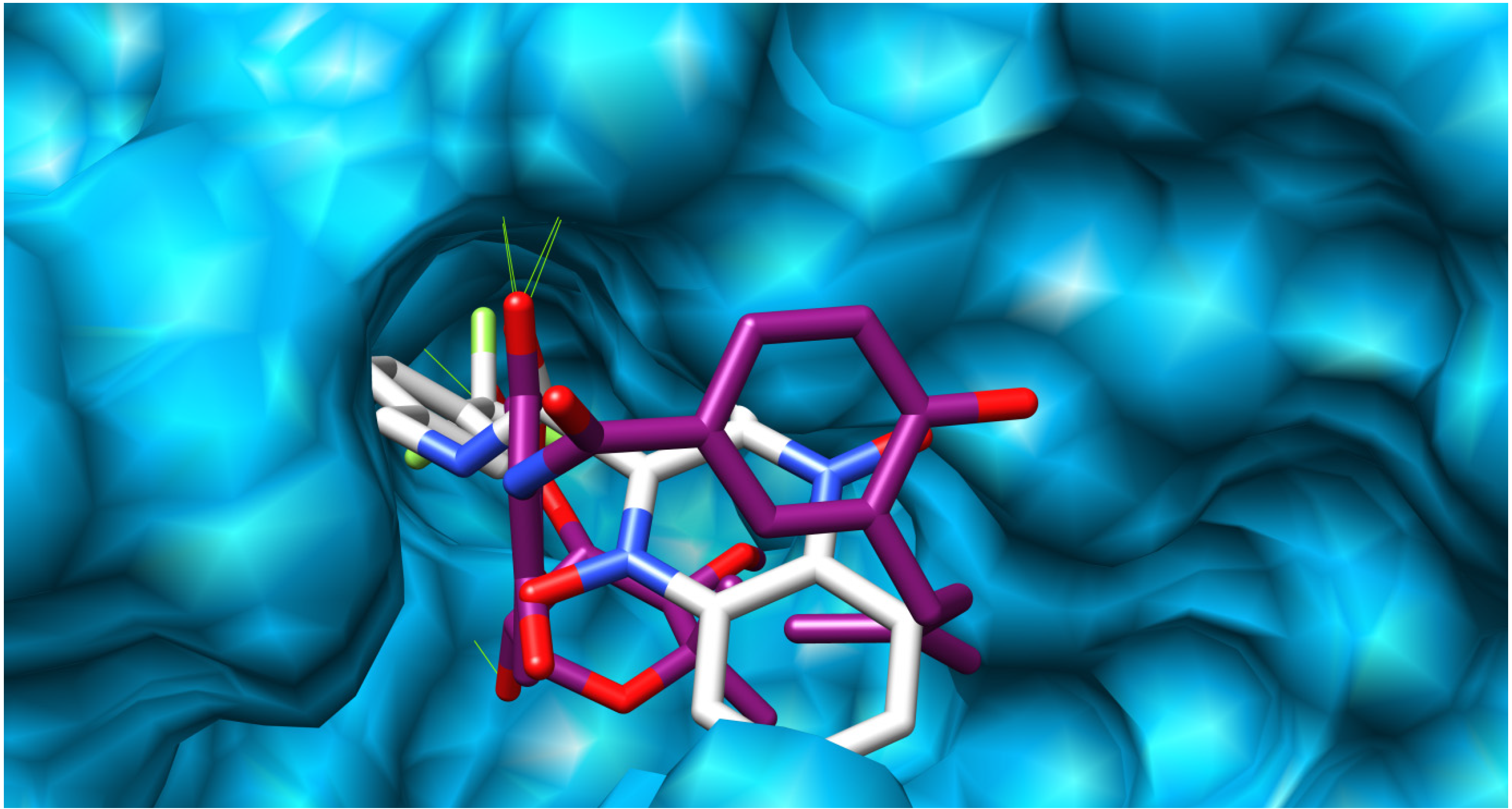 Molecules 19 02247 g010