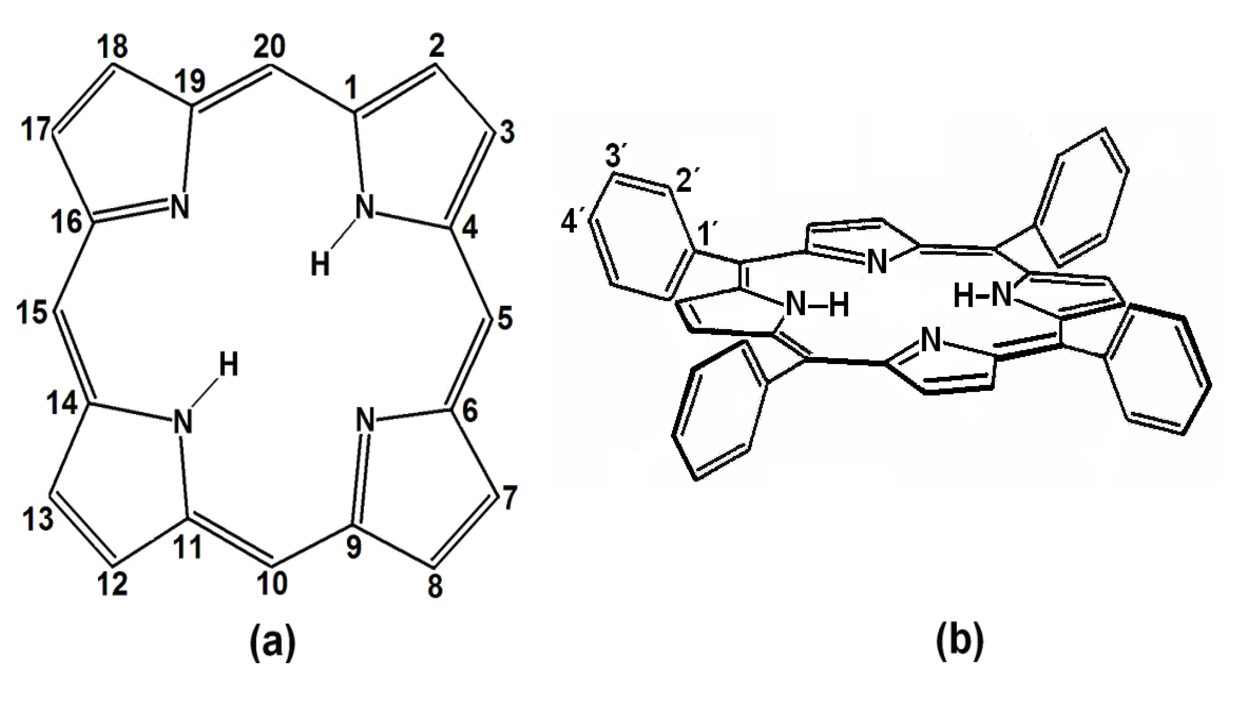 Molecules 19 02261 g001