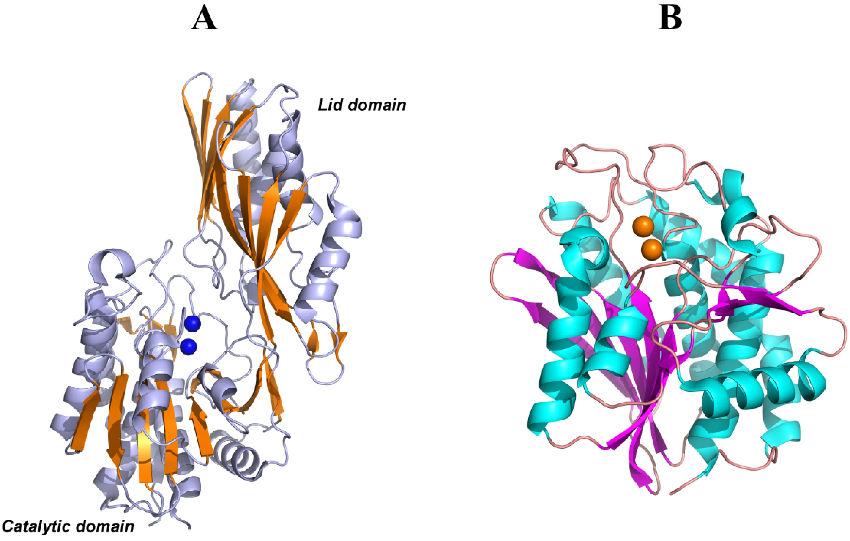 Molecules 19 02299 g006