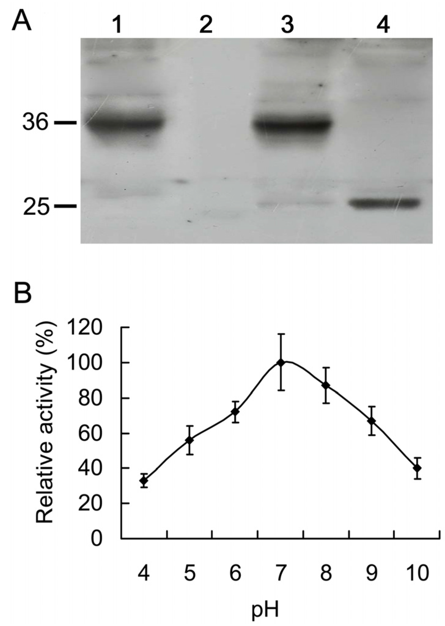 Molecules 19 02374 g003