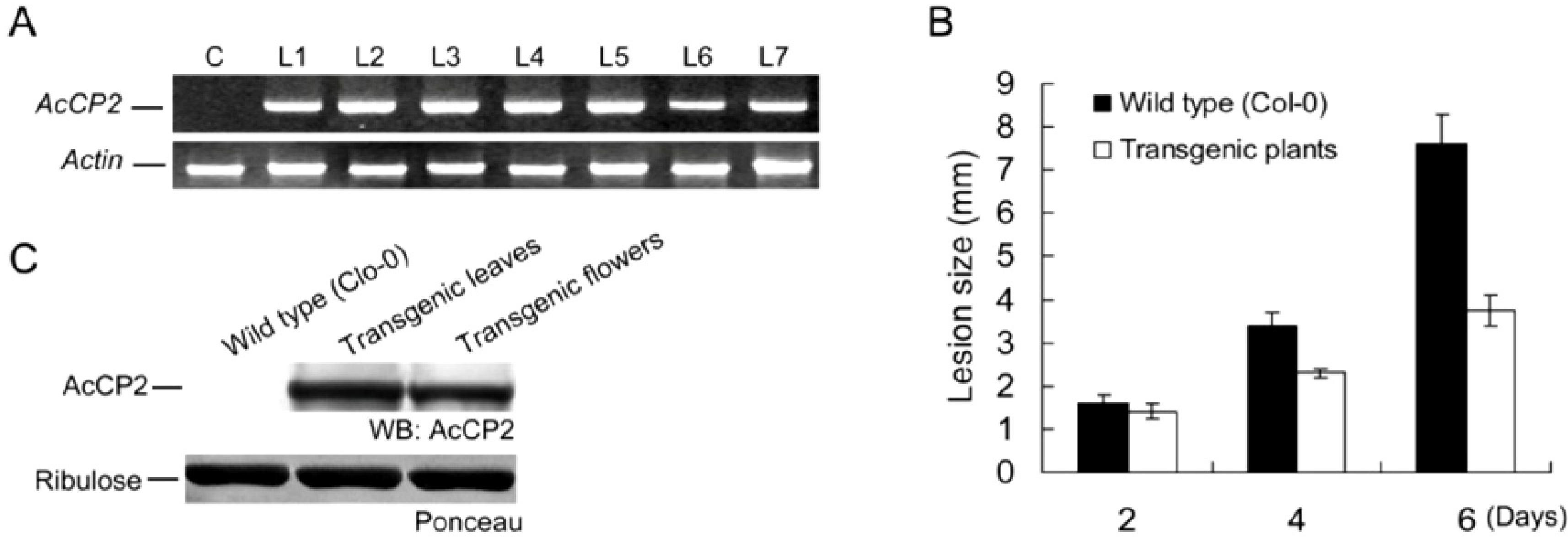 Molecules 19 02374 g004