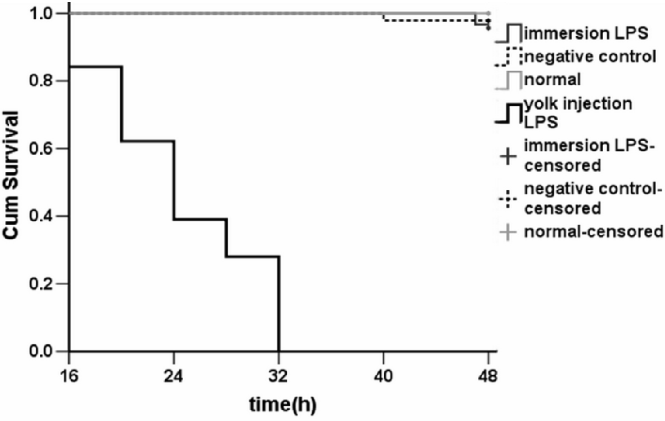 Molecules 19 02390 g005