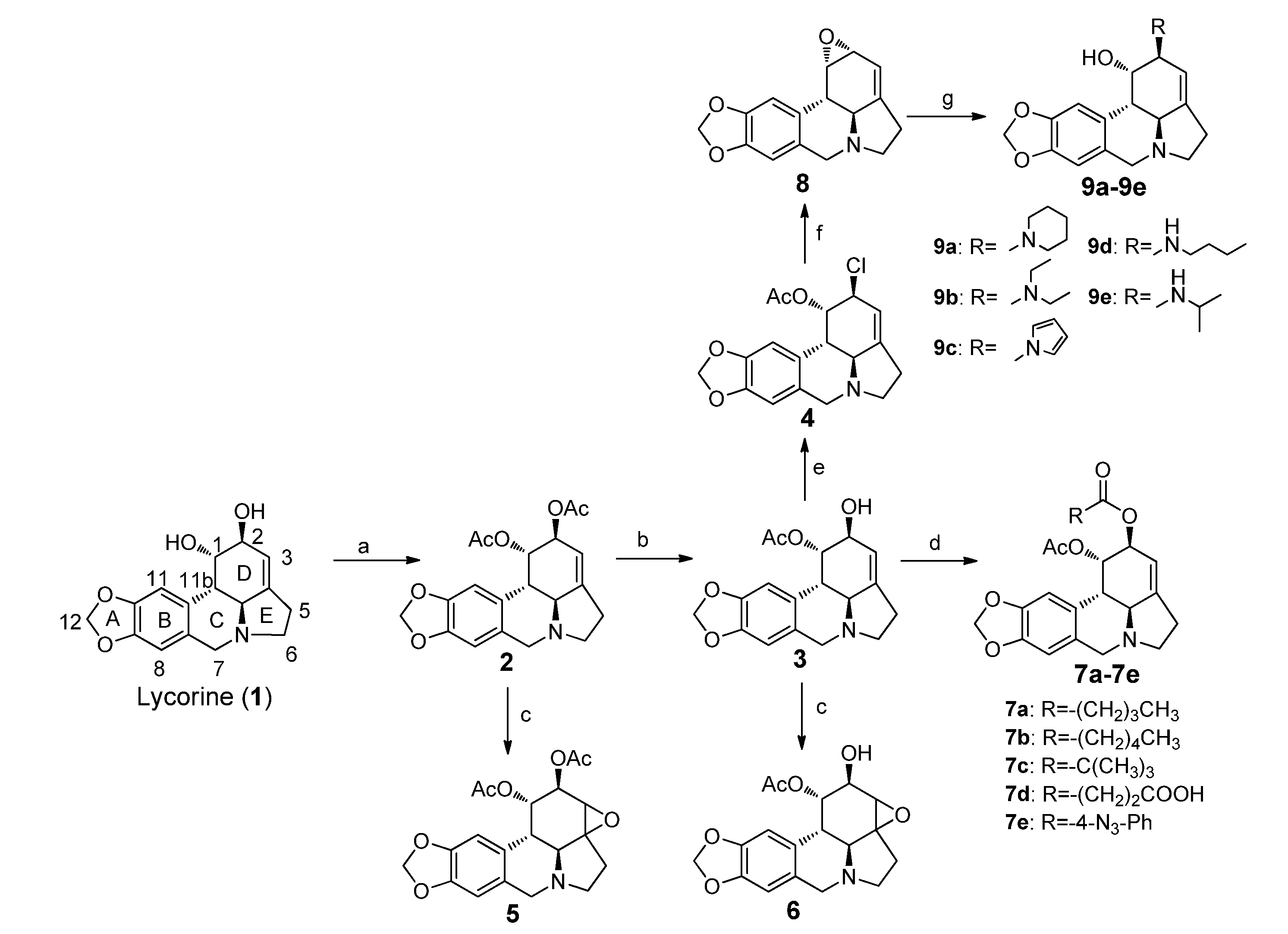 Molecules 19 02469 g002