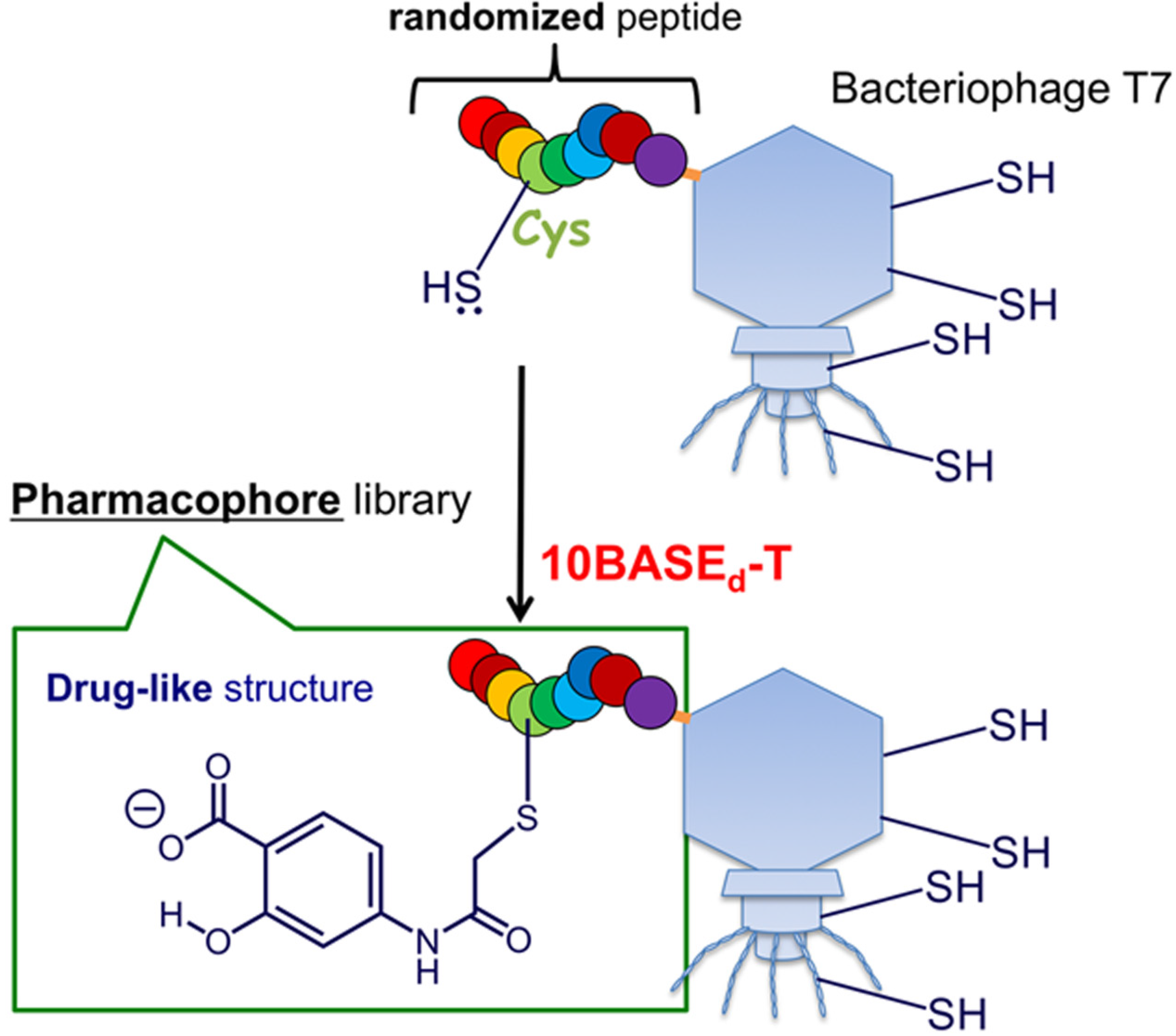 Molecules 19 02481 g001