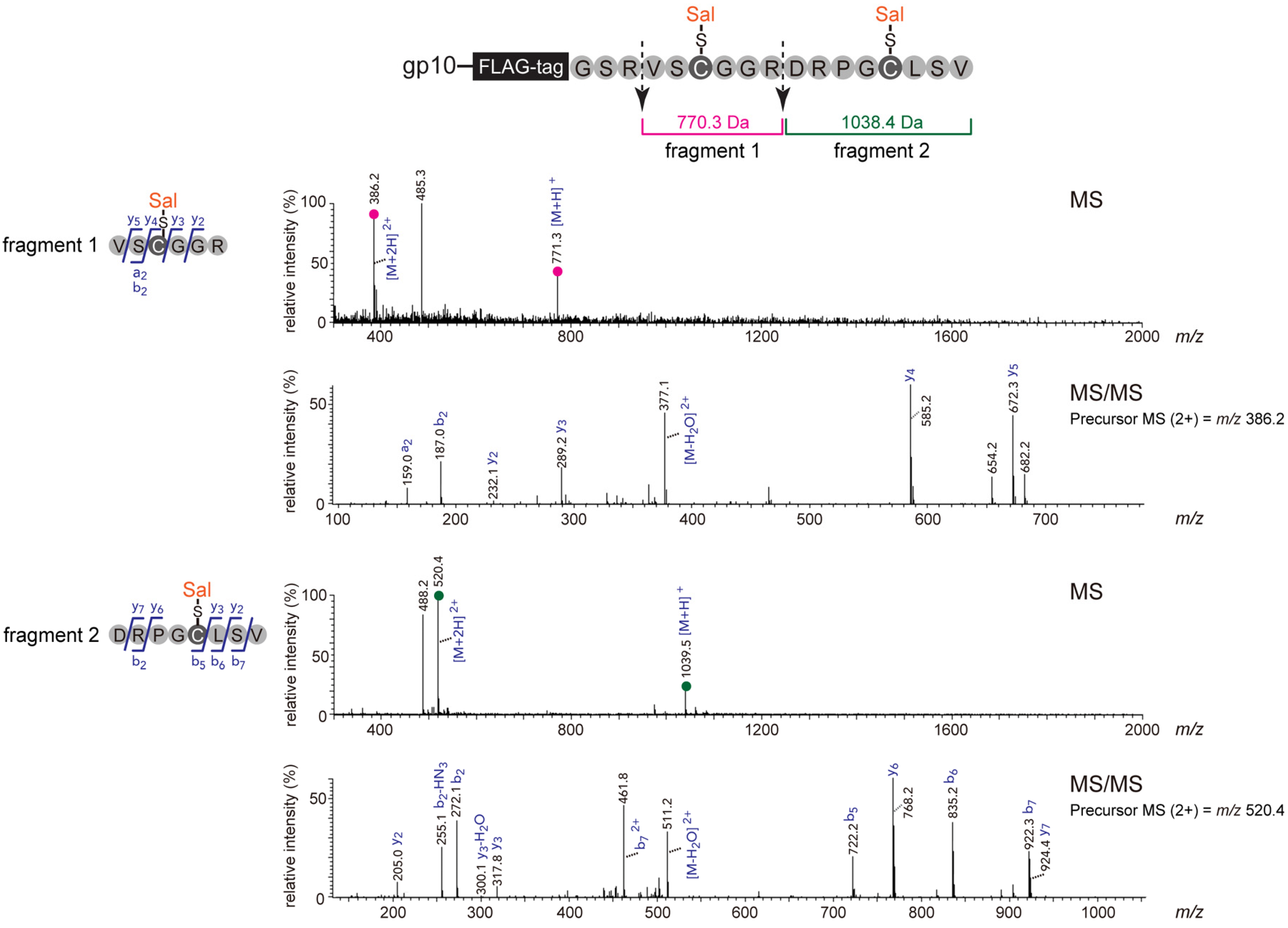 Molecules 19 02481 g004