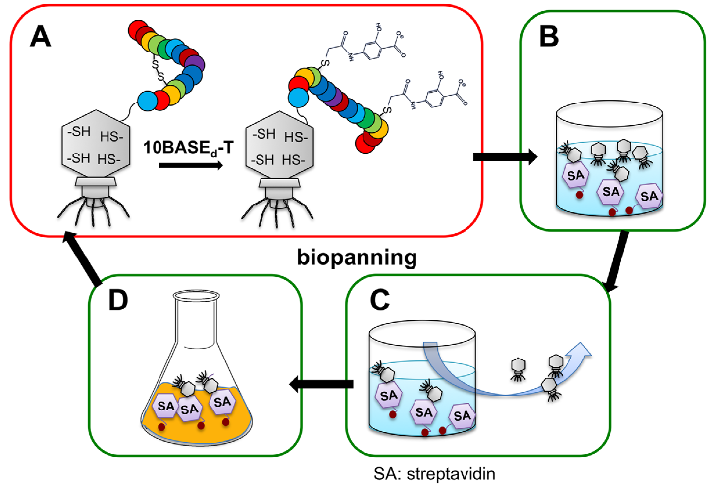 Molecules 19 02481 g005
