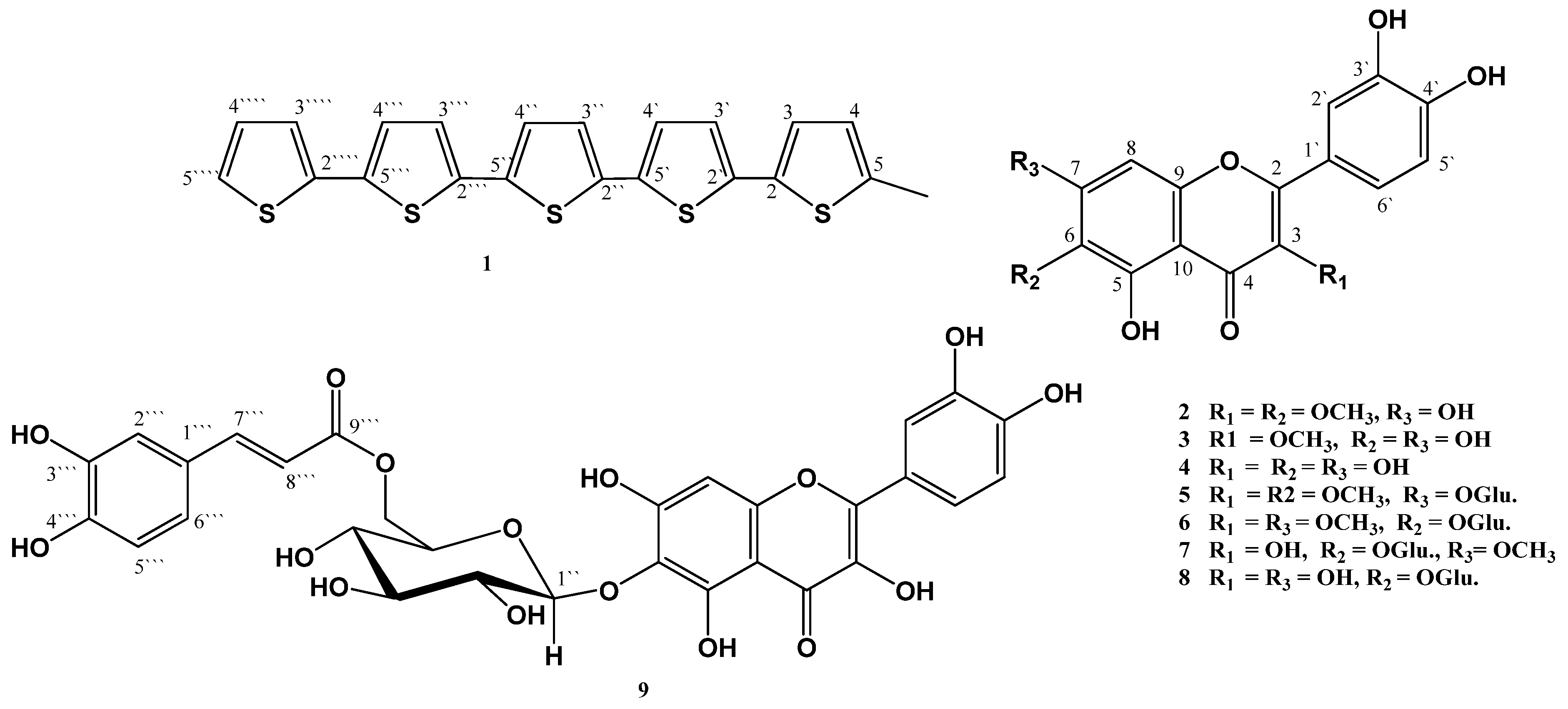 Molecules 19 02819 g001