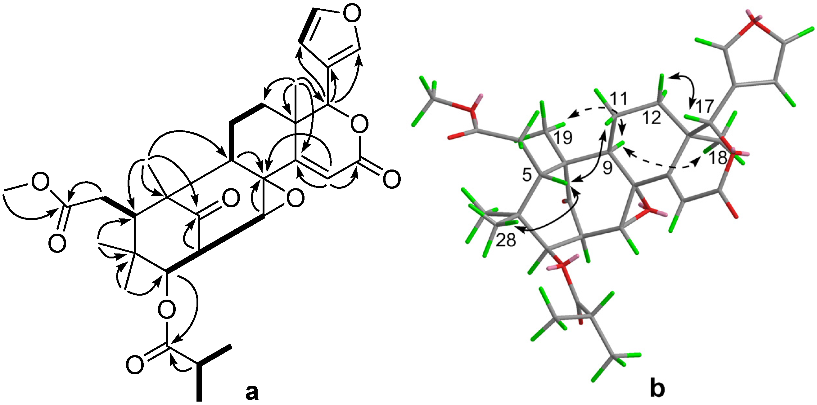Molecules 19 03004 g002