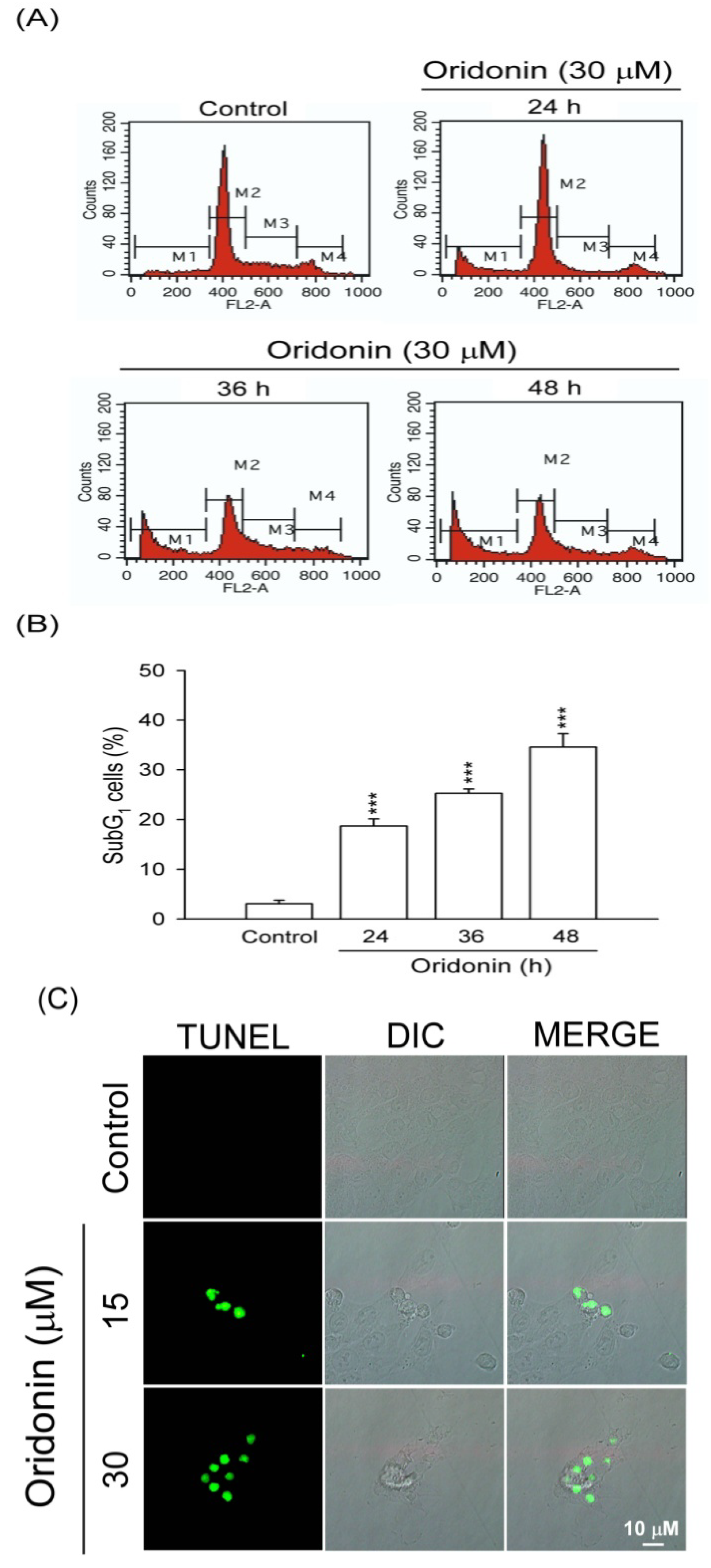 Molecules 19 03327 g002