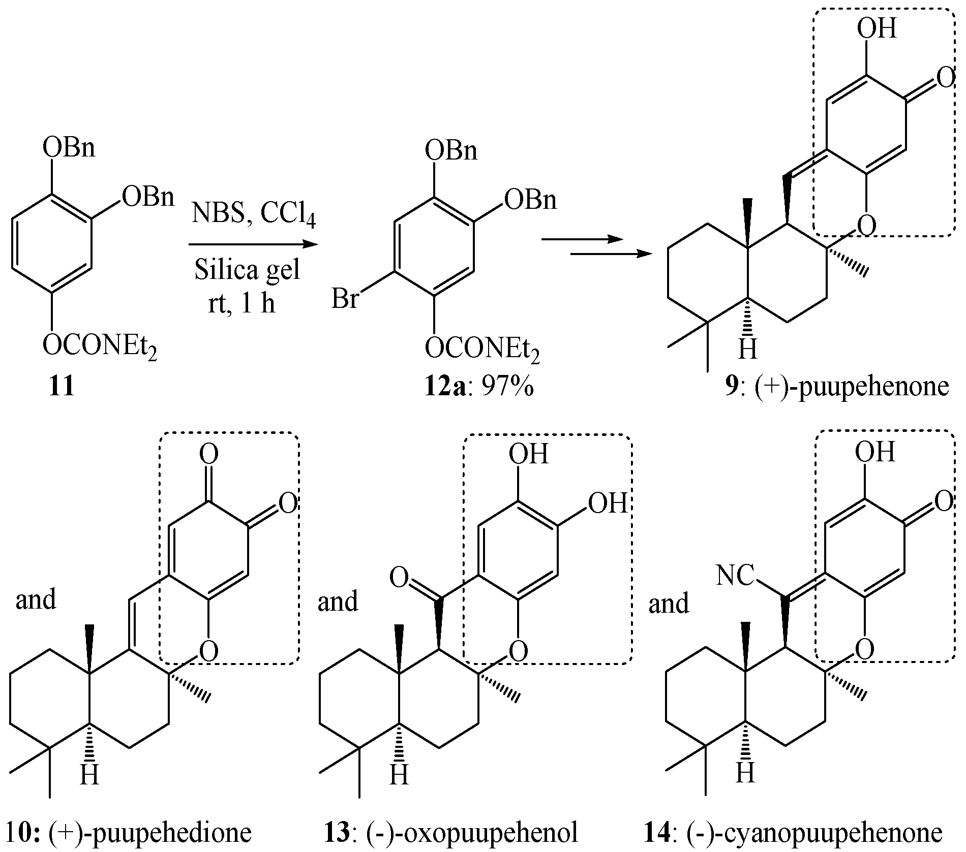 Molecules 19 03401 g008