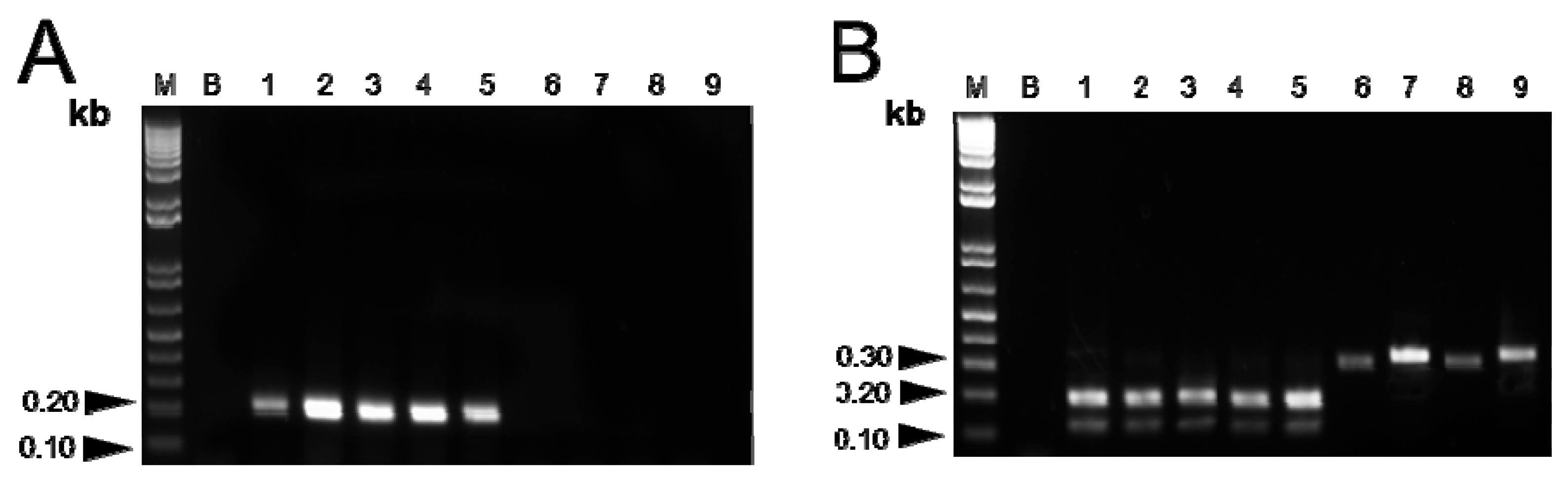 Molecules 19 03450 g004 550