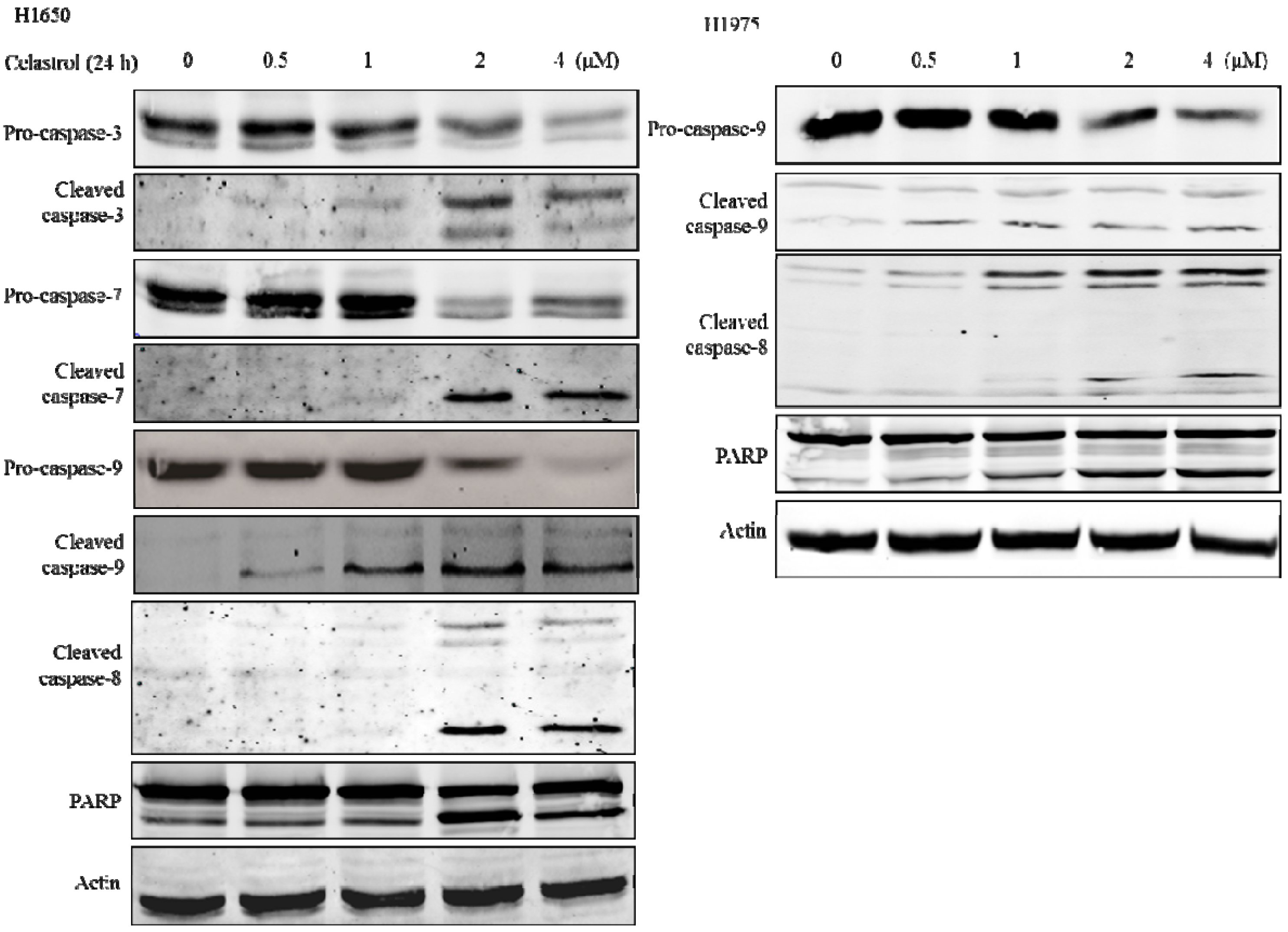 Molecules 19 03508 g004 550