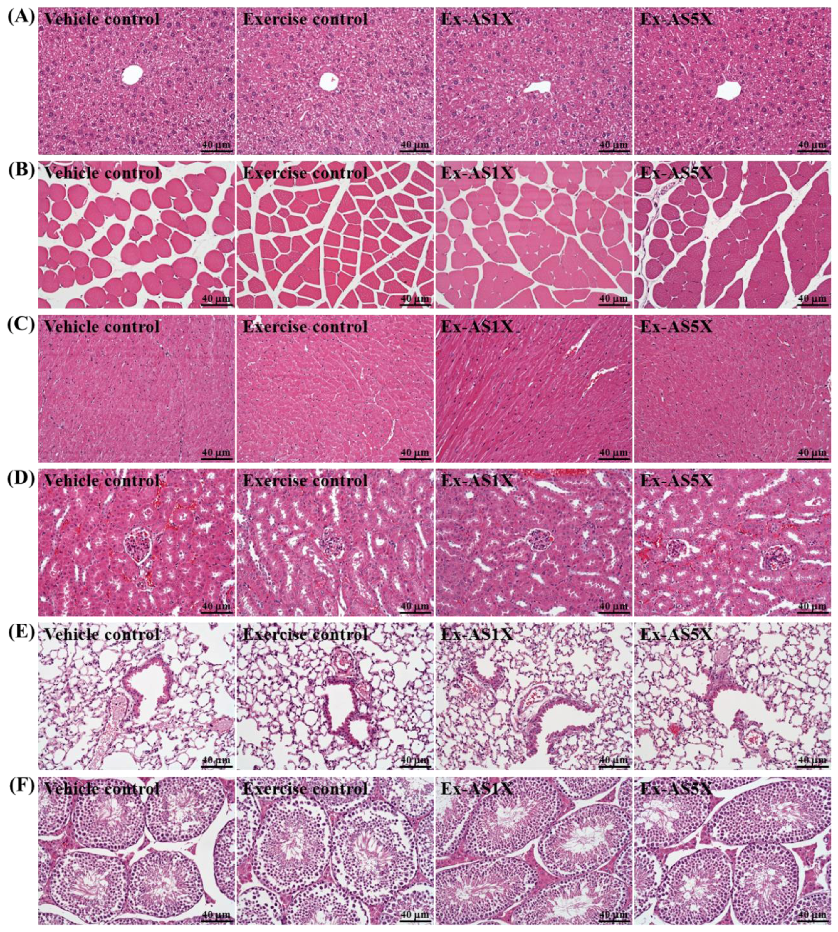 Molecules 19 03926 g005