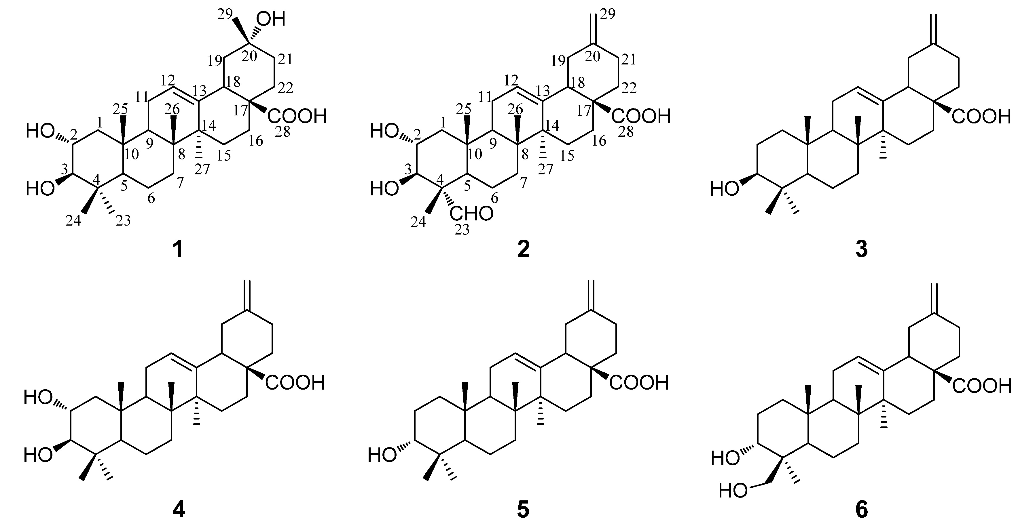 Molecules 19 04301 g001 550