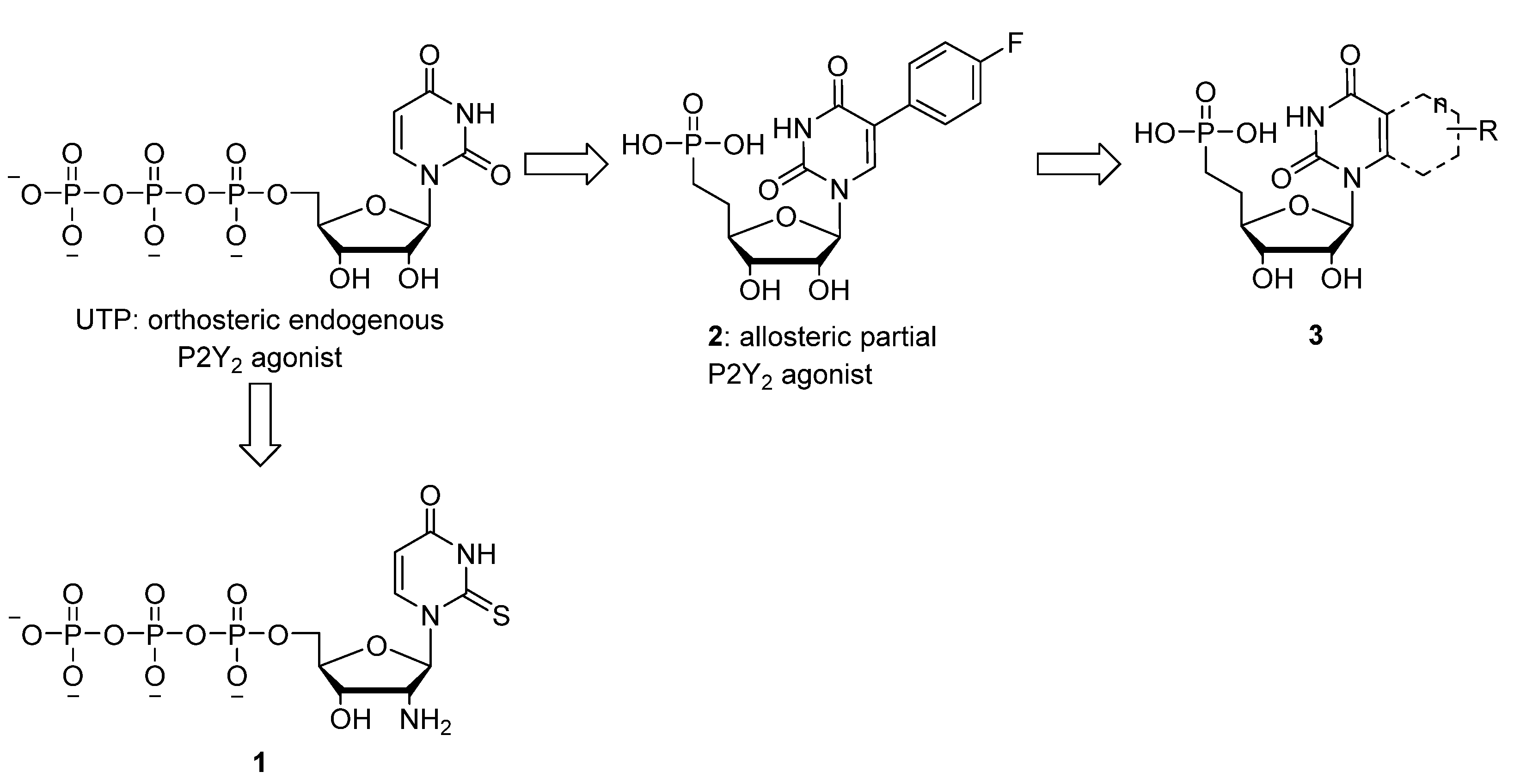 Molecules 19 04313 g001 550