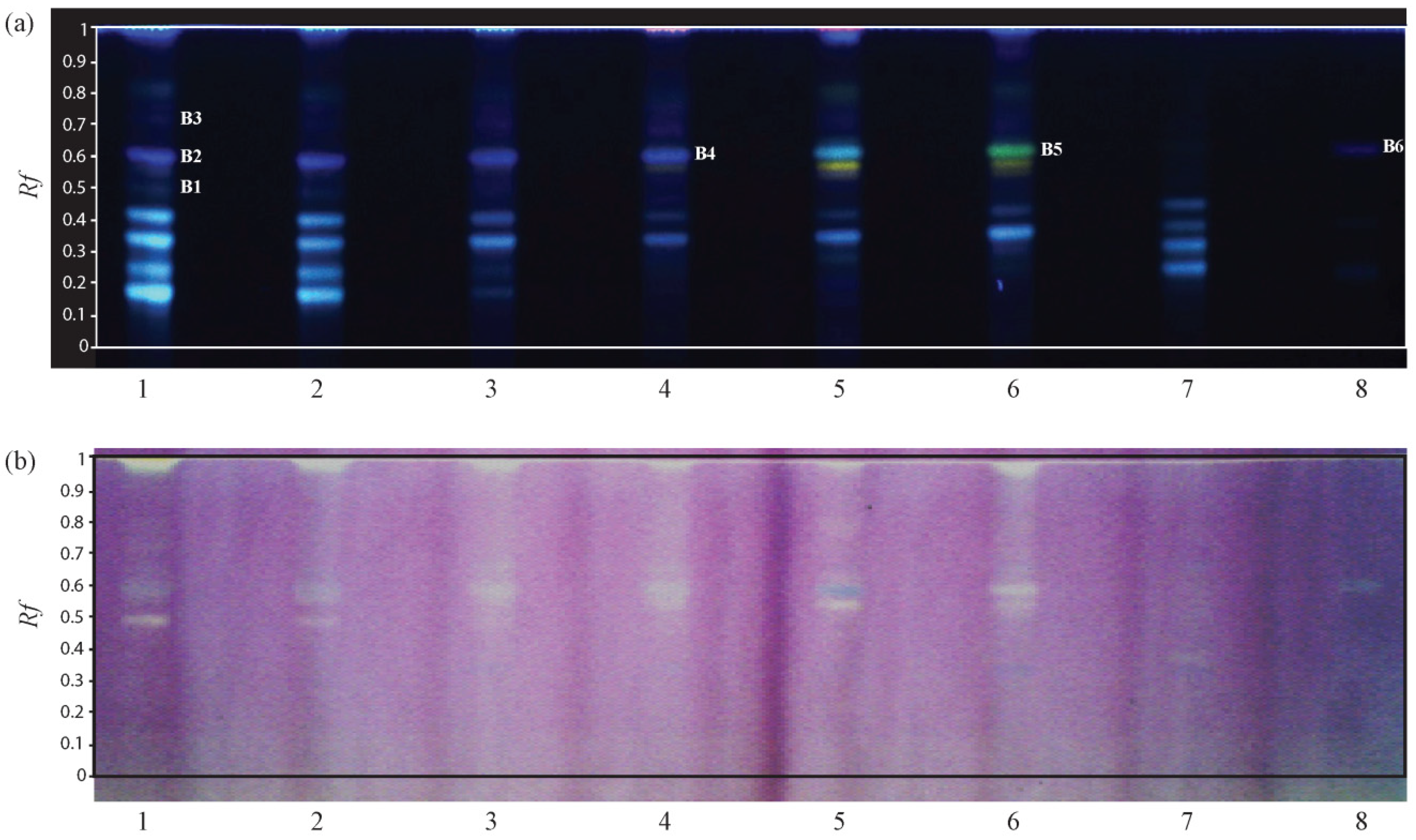 Molecules 19 04369 g003