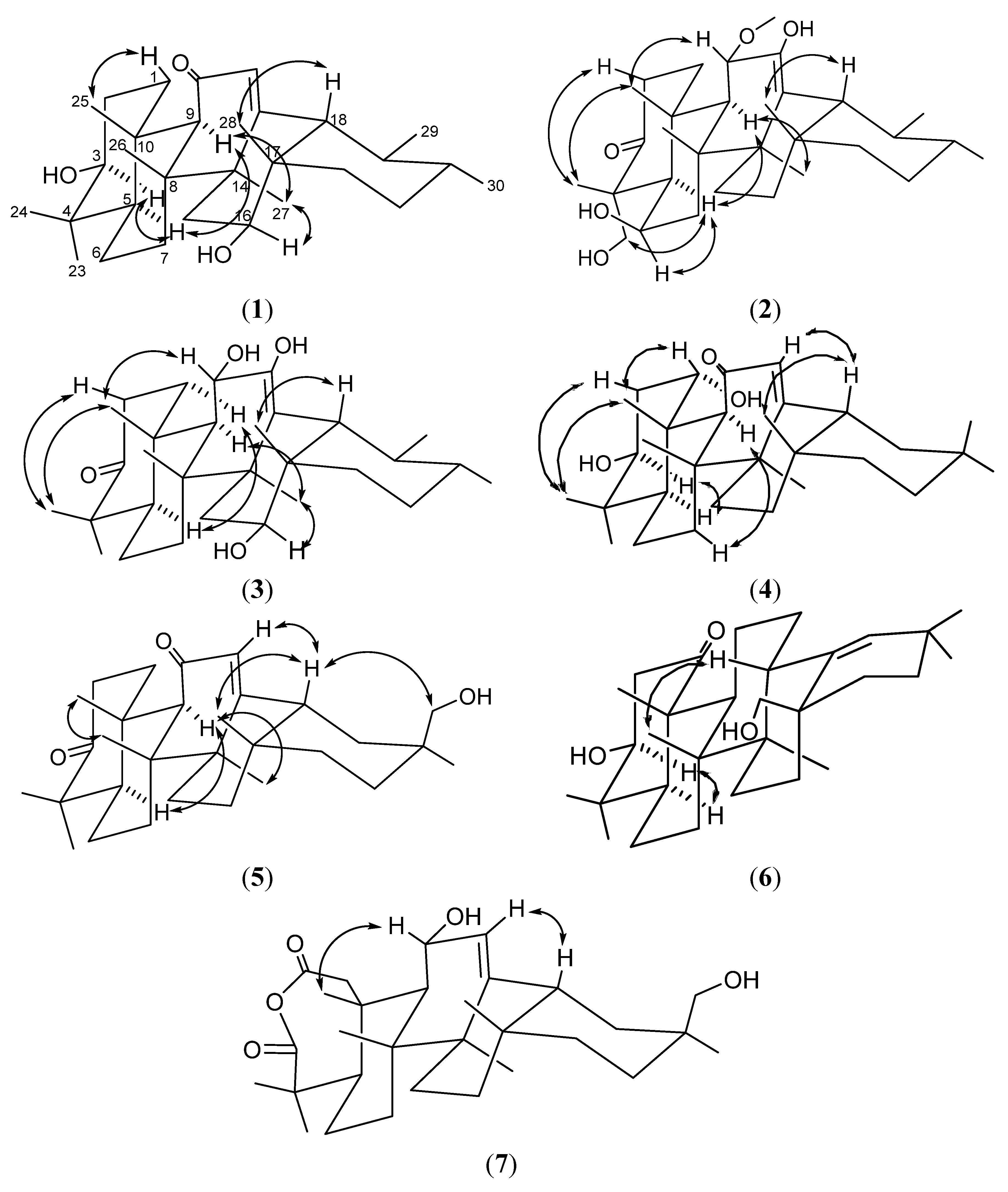 Molecules 19 04608 g004