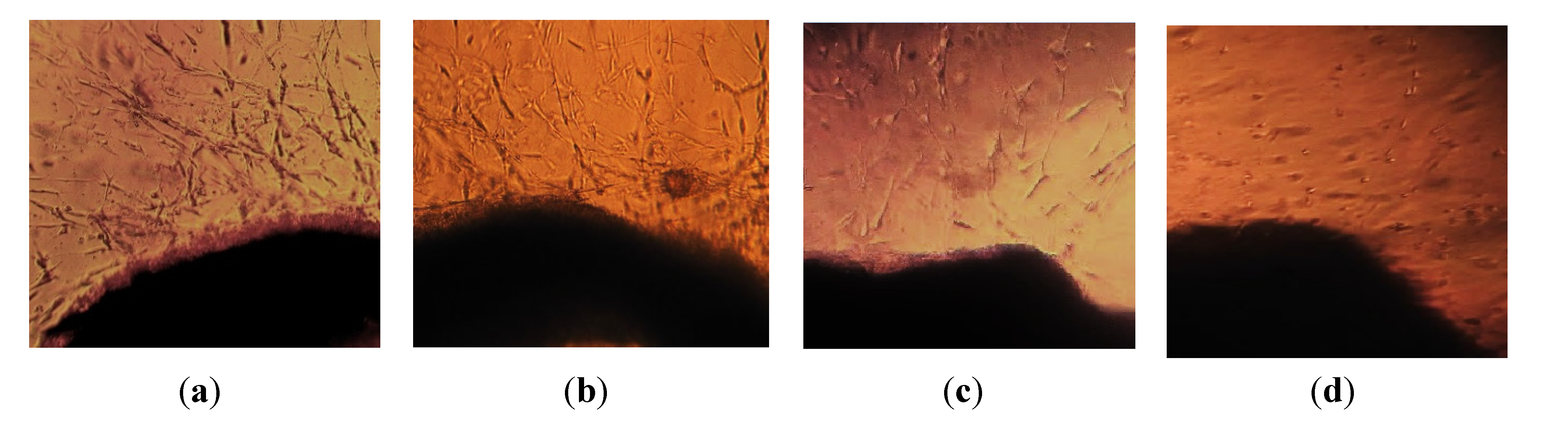 Molecules 19 04624 g006 550