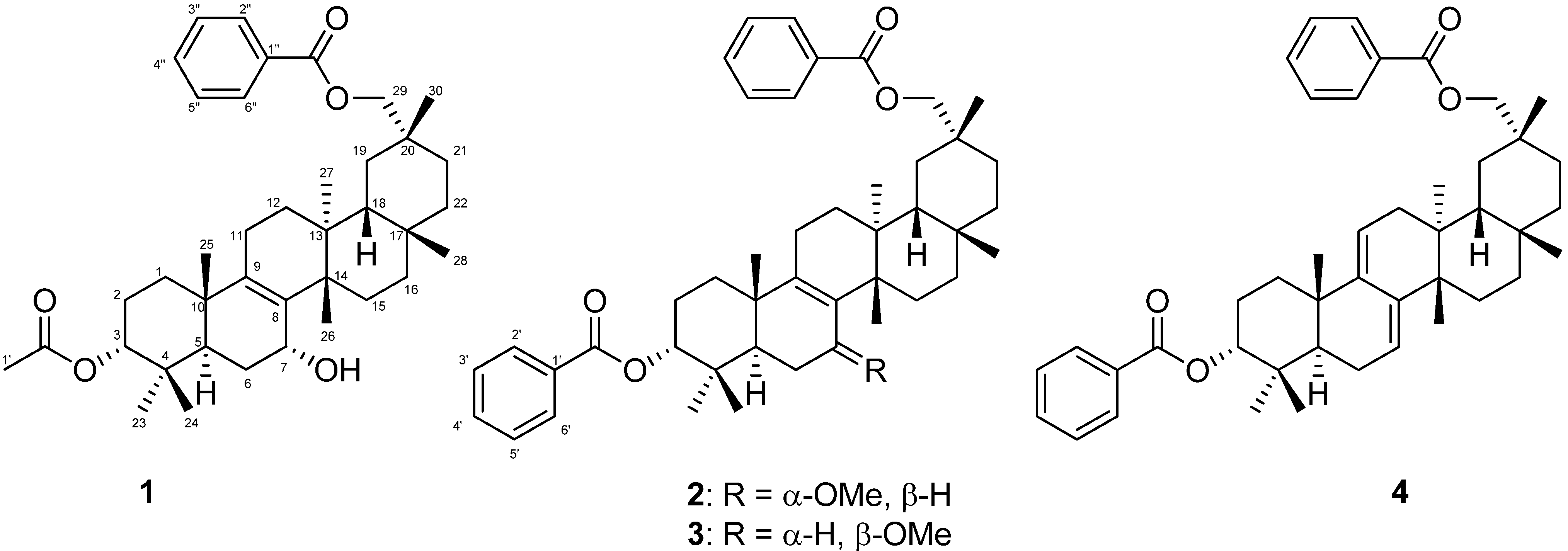 Molecules 19 04802 g001