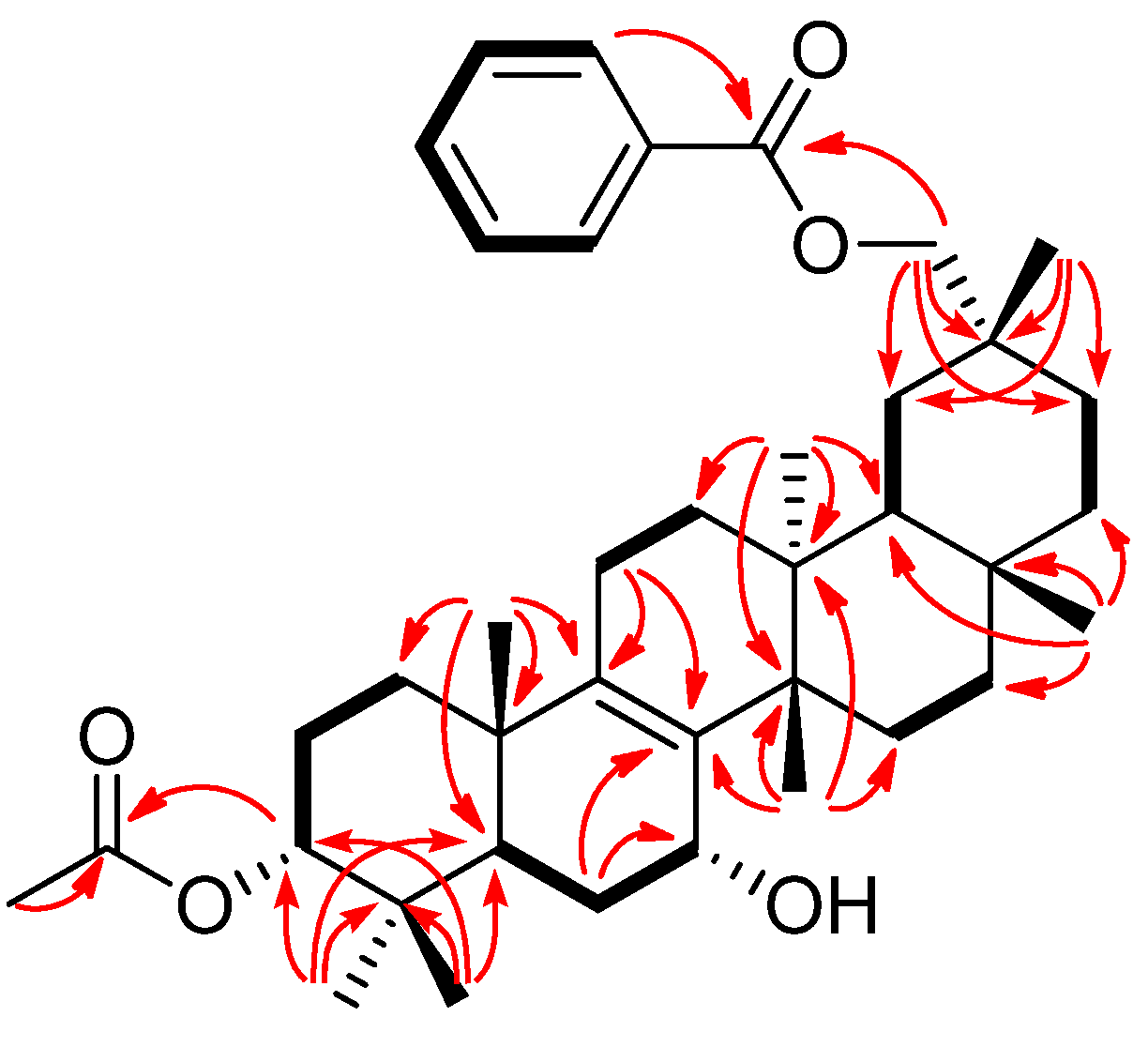 Molecules 19 04802 g002