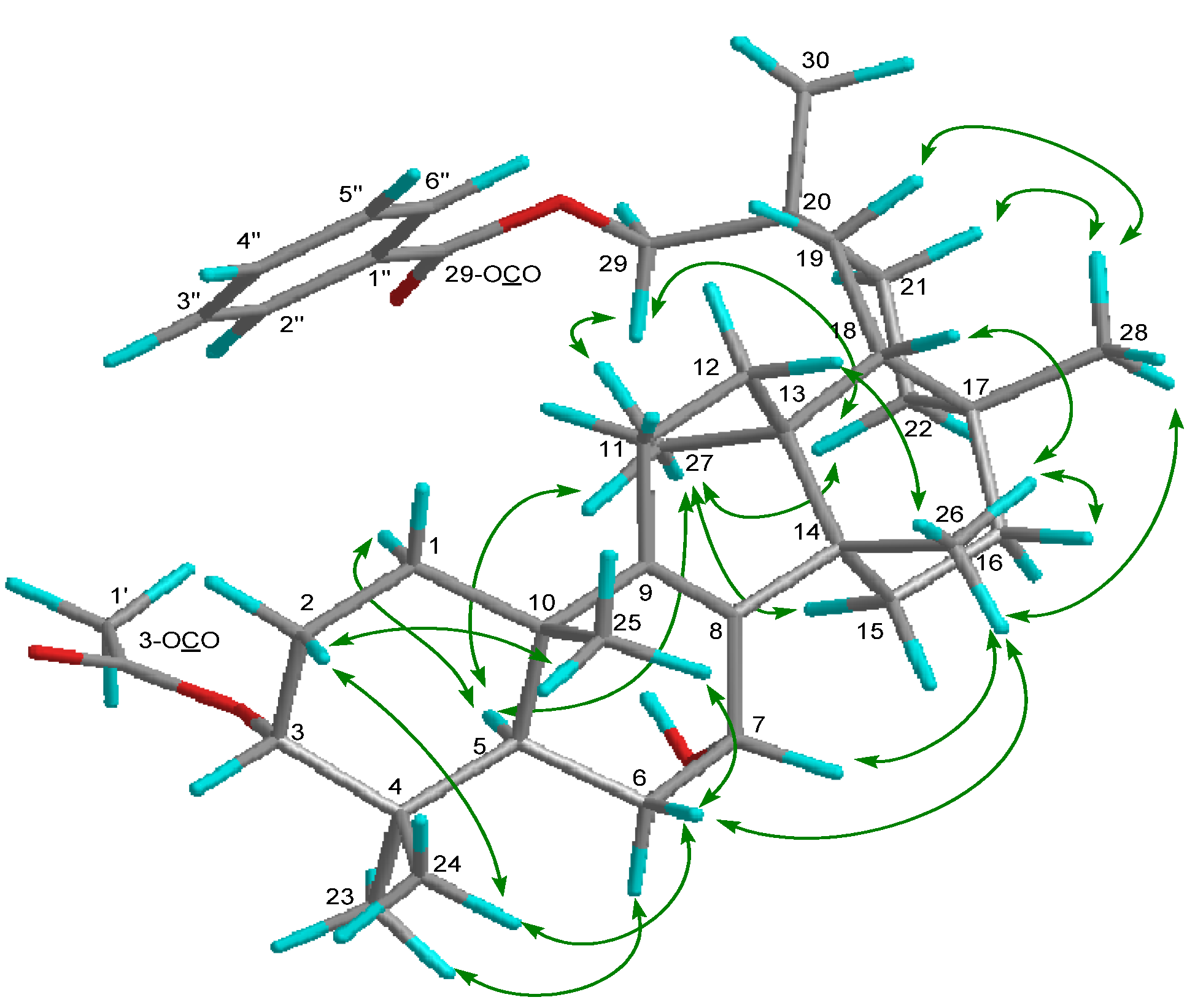 Molecules 19 04802 g003