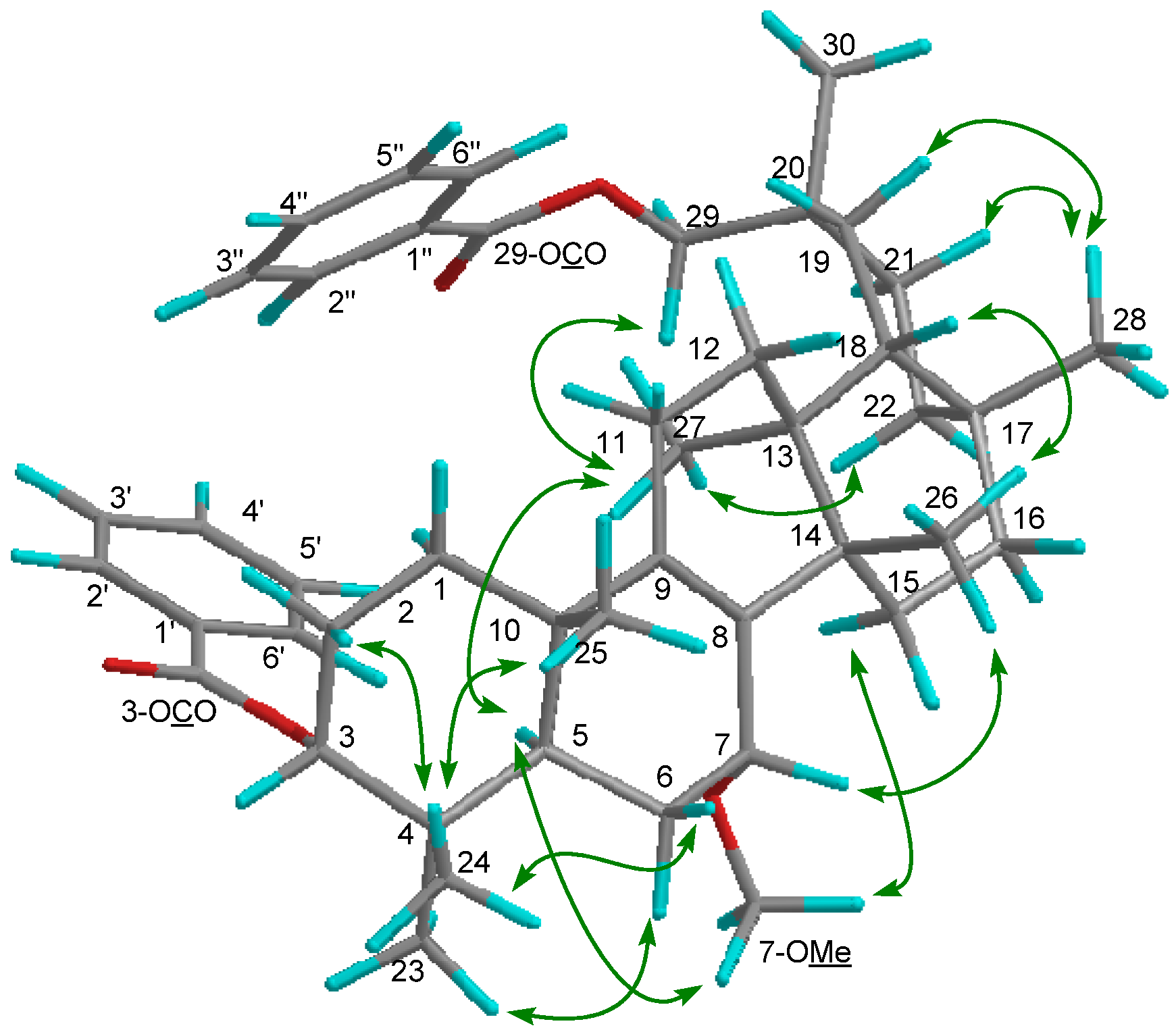 Molecules 19 04802 g005
