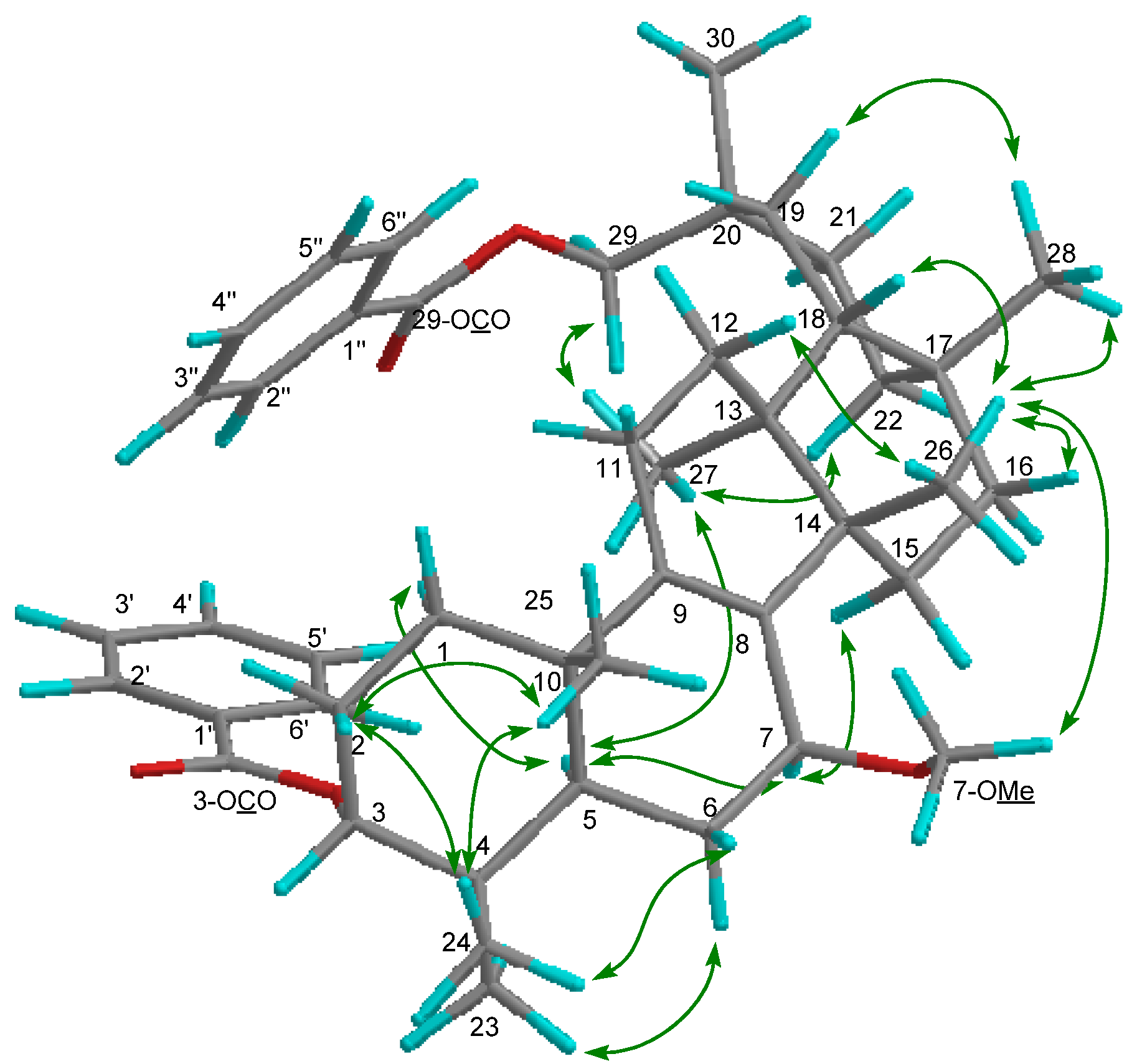 Molecules 19 04802 g006